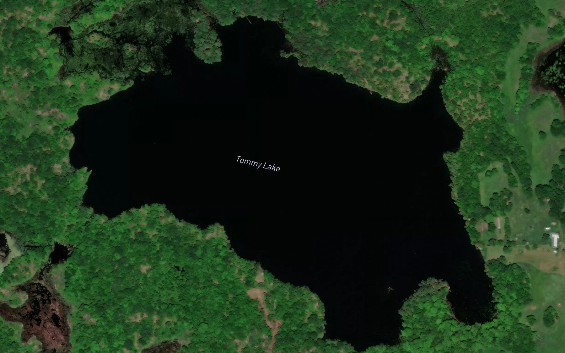 Satellite map of the Tommy Lake