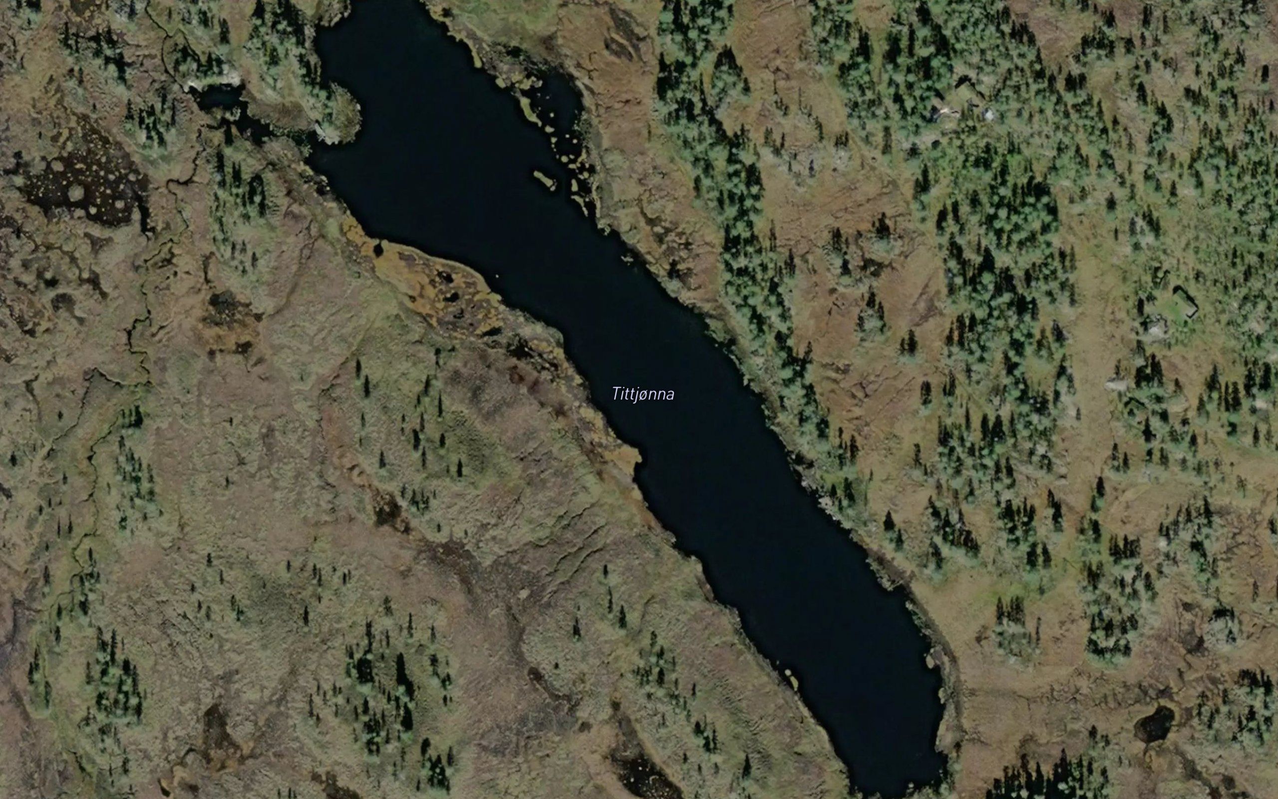 Tit-tjonna