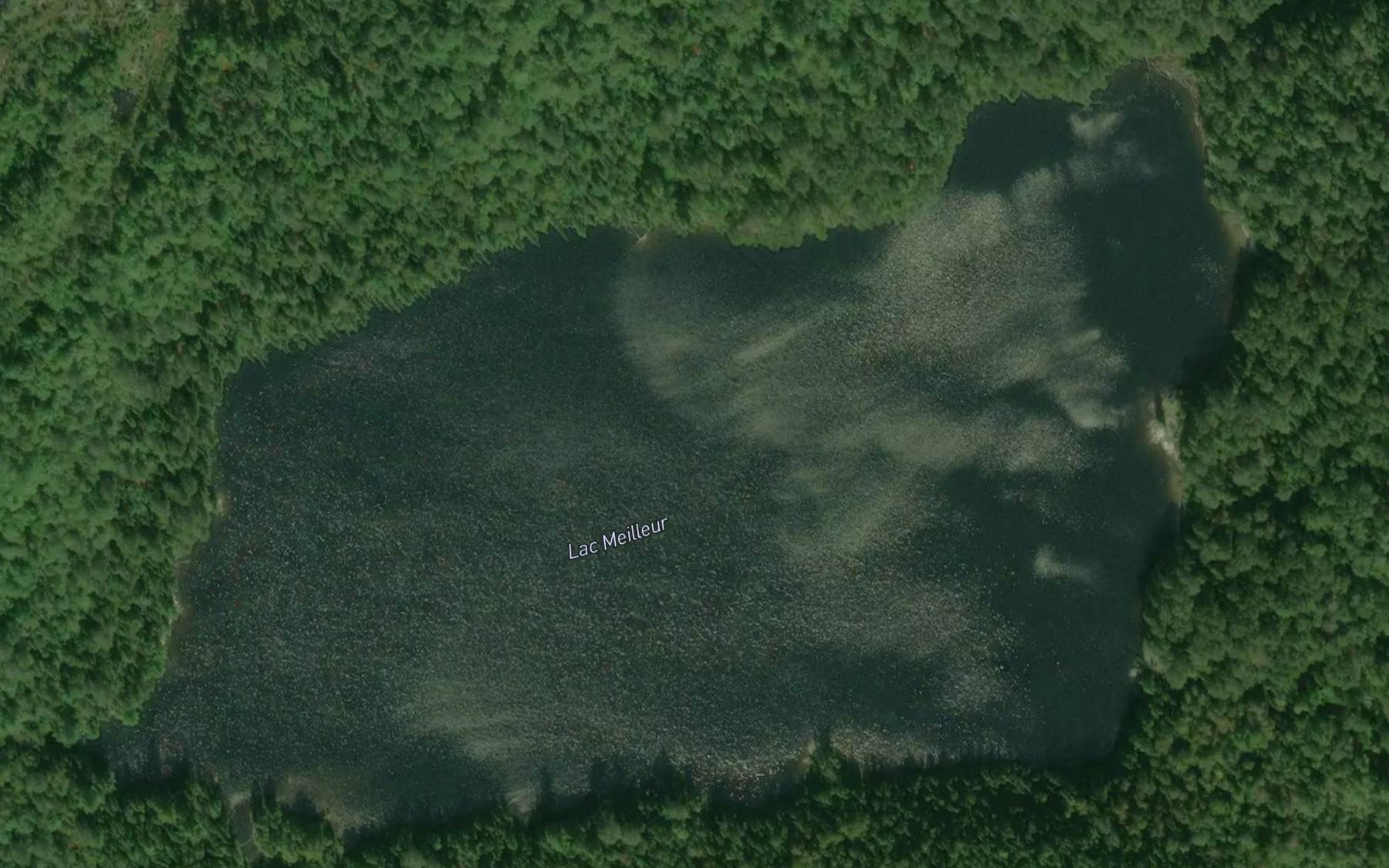 Satellite map of the Lac Meilleur