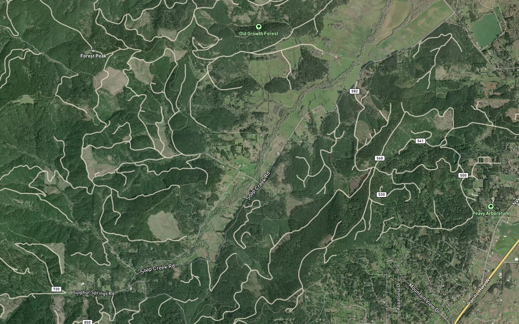 Satellite map of the Spring Branch