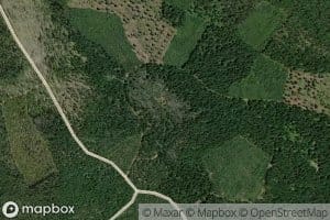 Willow Springs