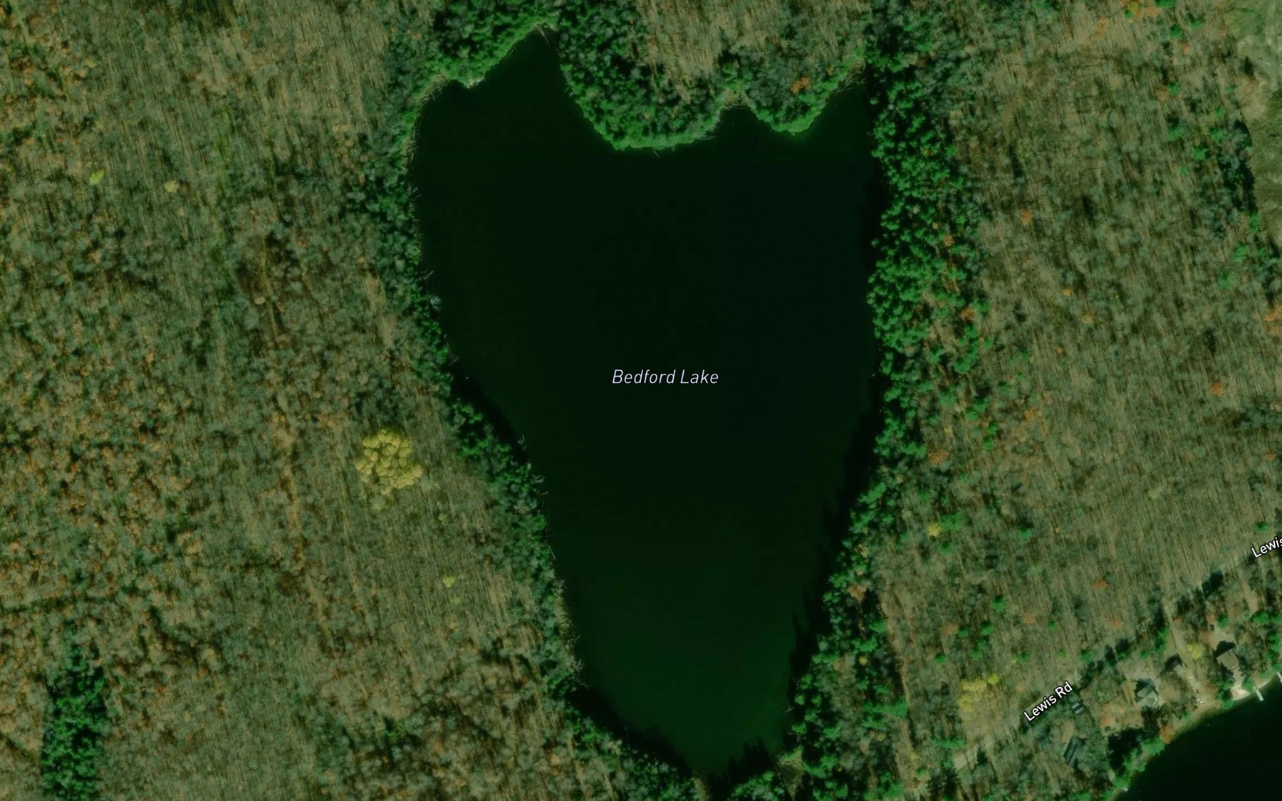 Satellite map of the Bedford Lake