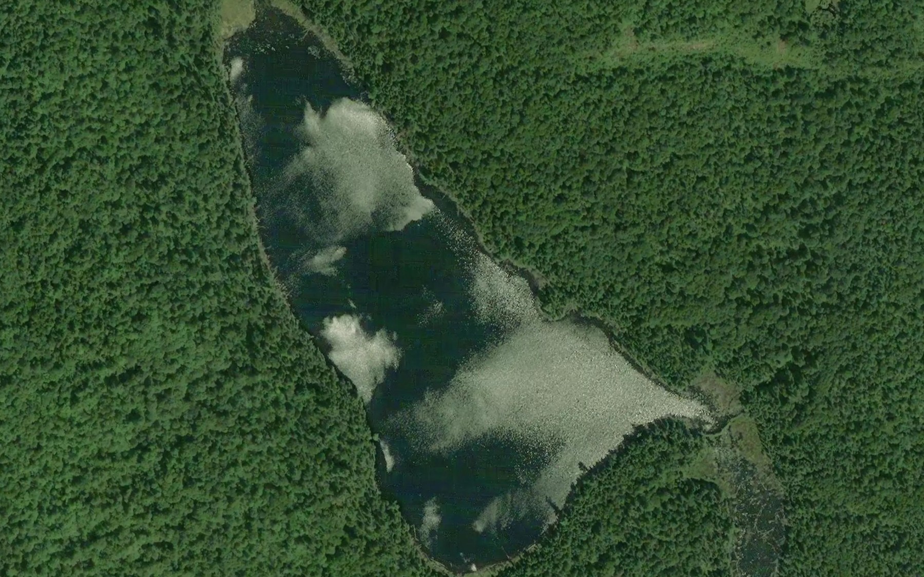 Satellite map of the Lac du Lion