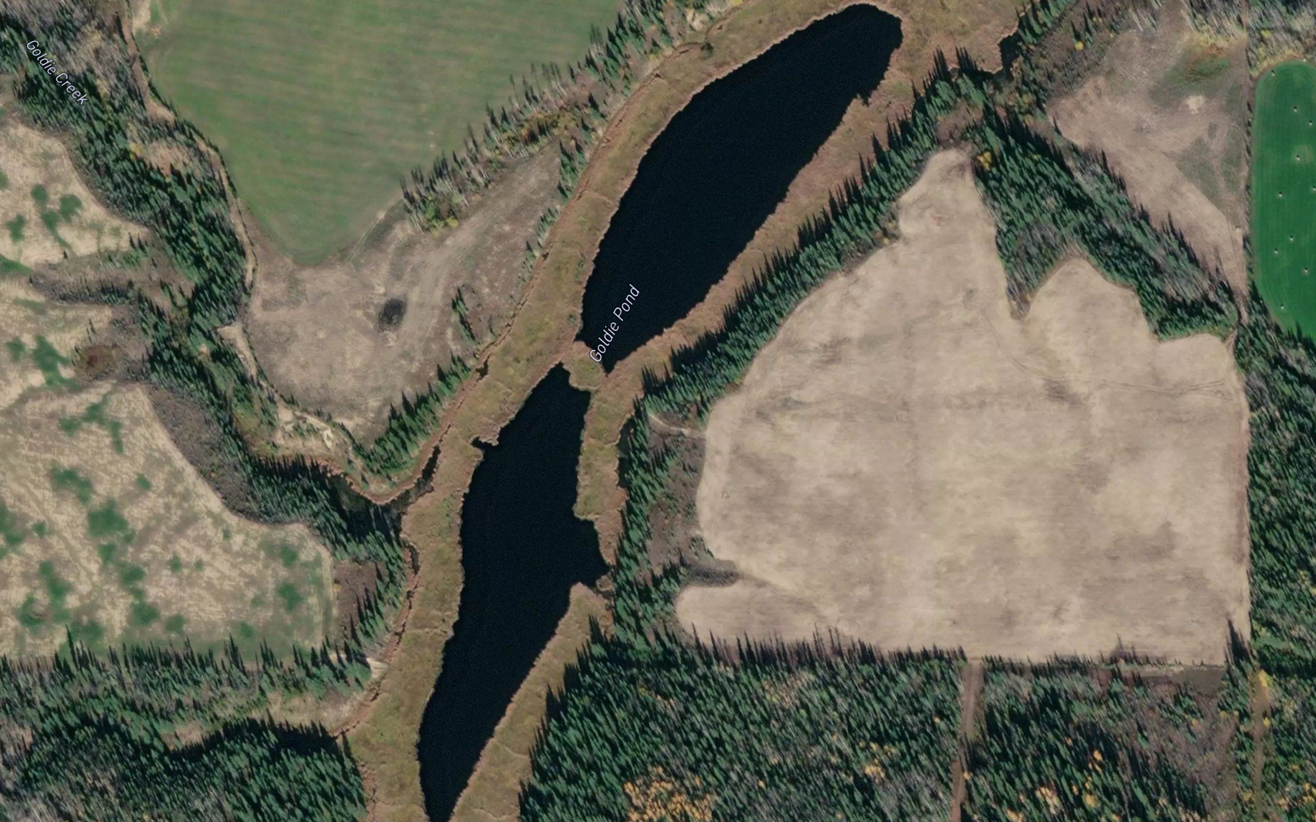 Goldie Pond