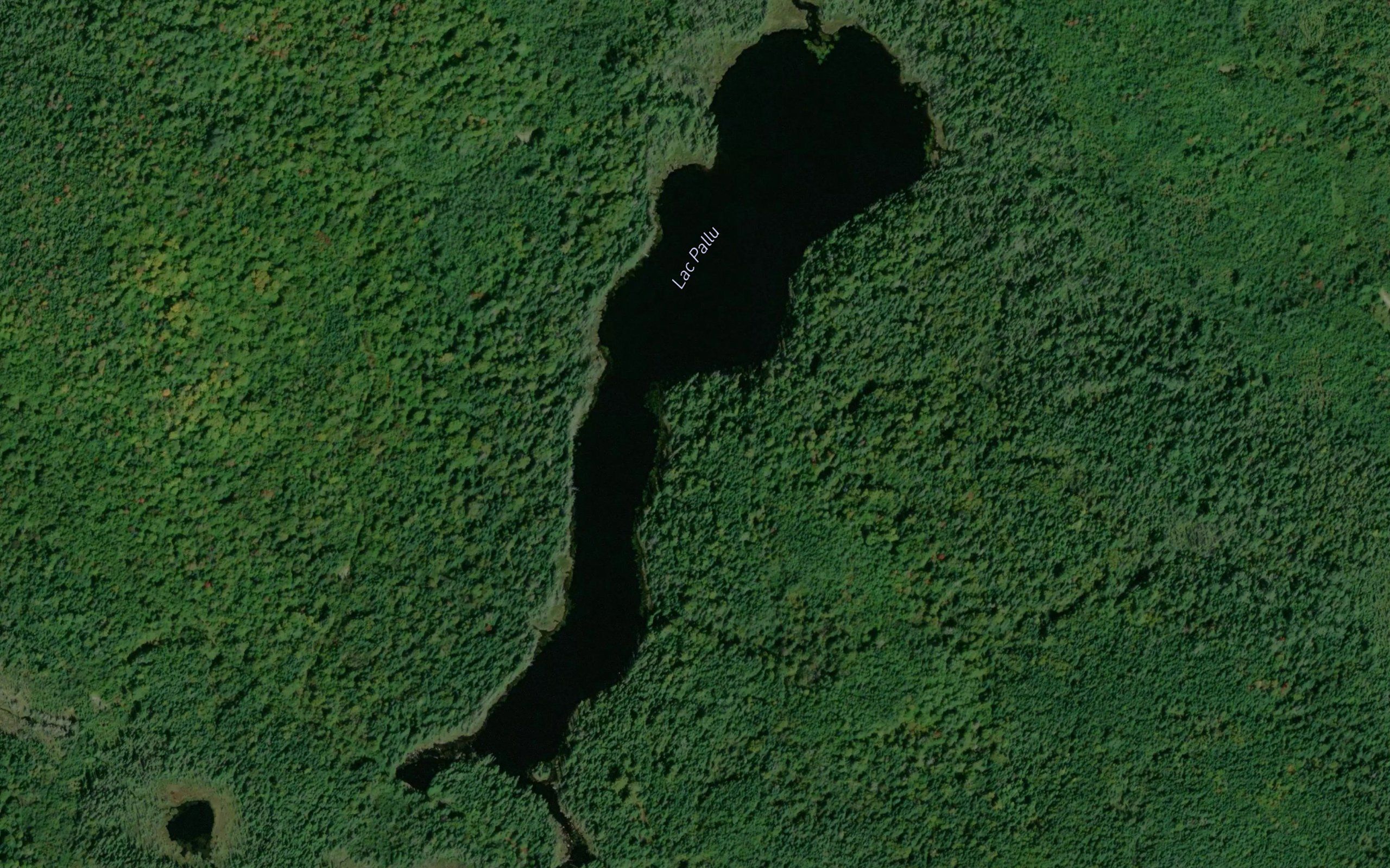 Lac Pallu