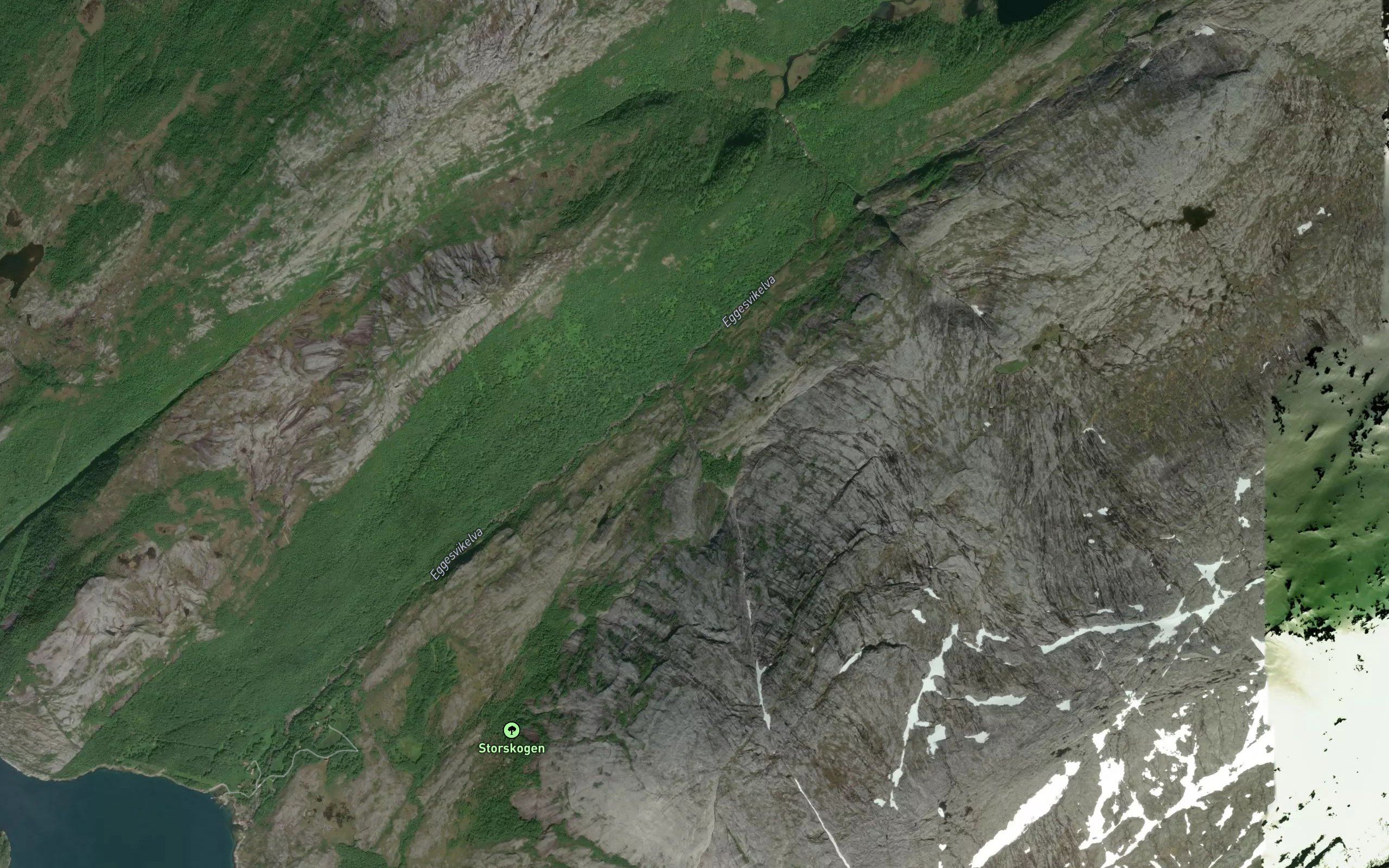Steinneselva