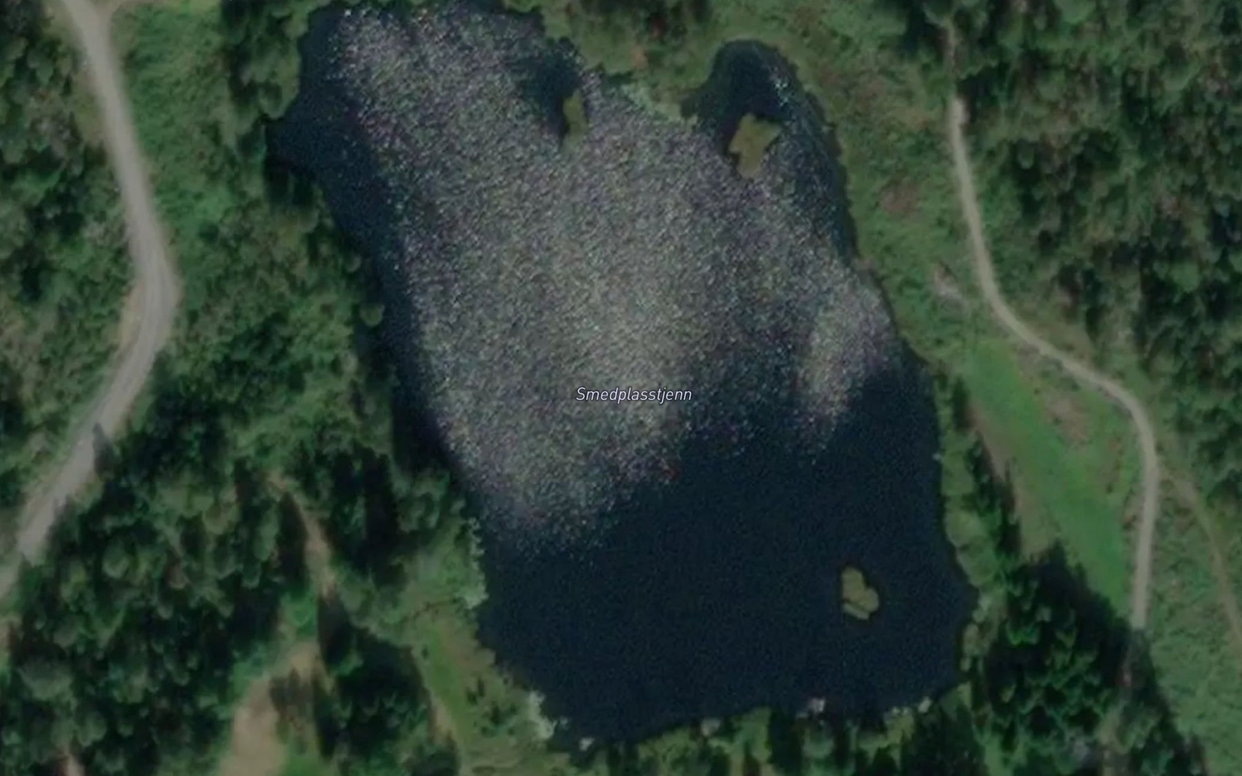 Satellite map of the Smedplasstjenn