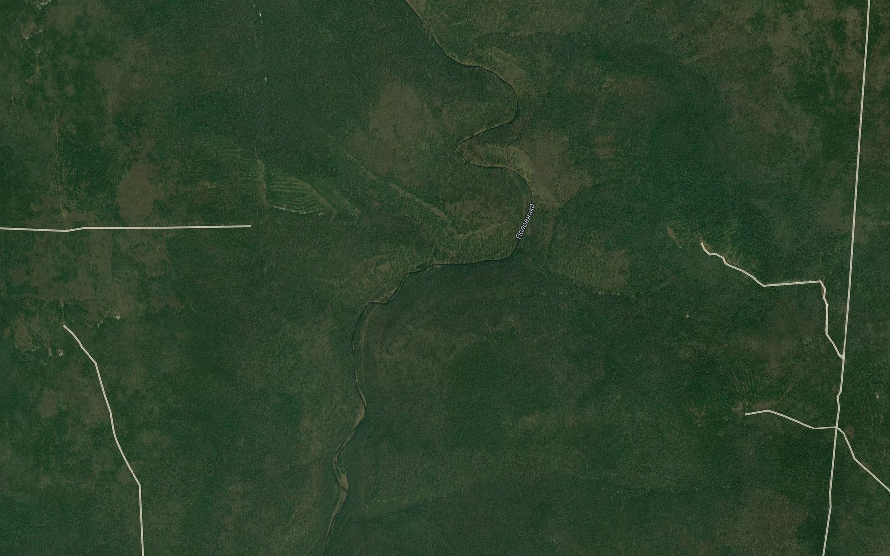Satellite map of the Dresvyanaya