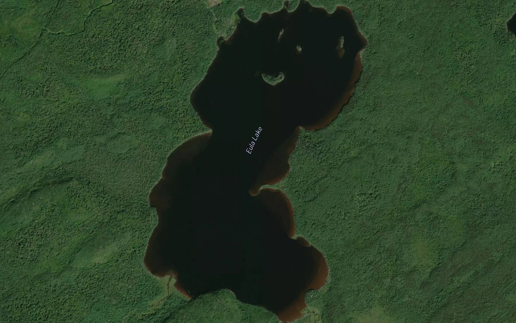 Satellite map of the Eula Lake