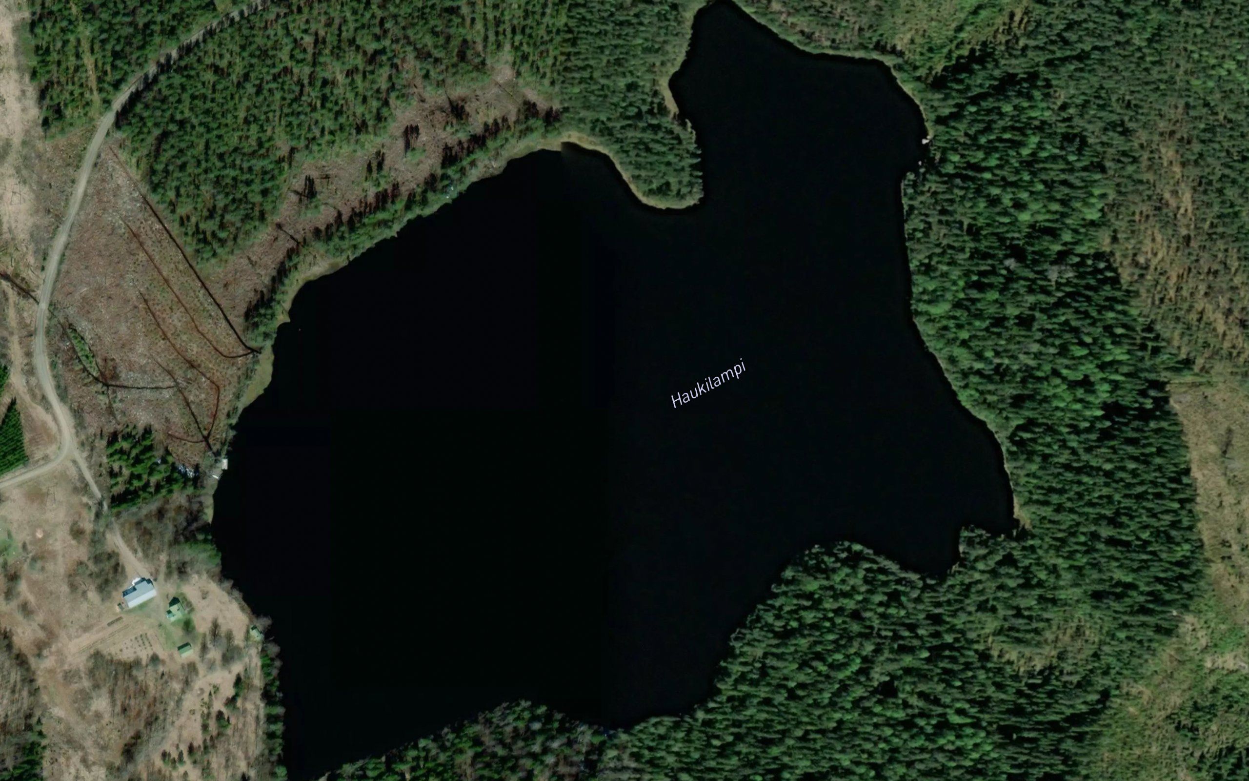 Haukilampi
