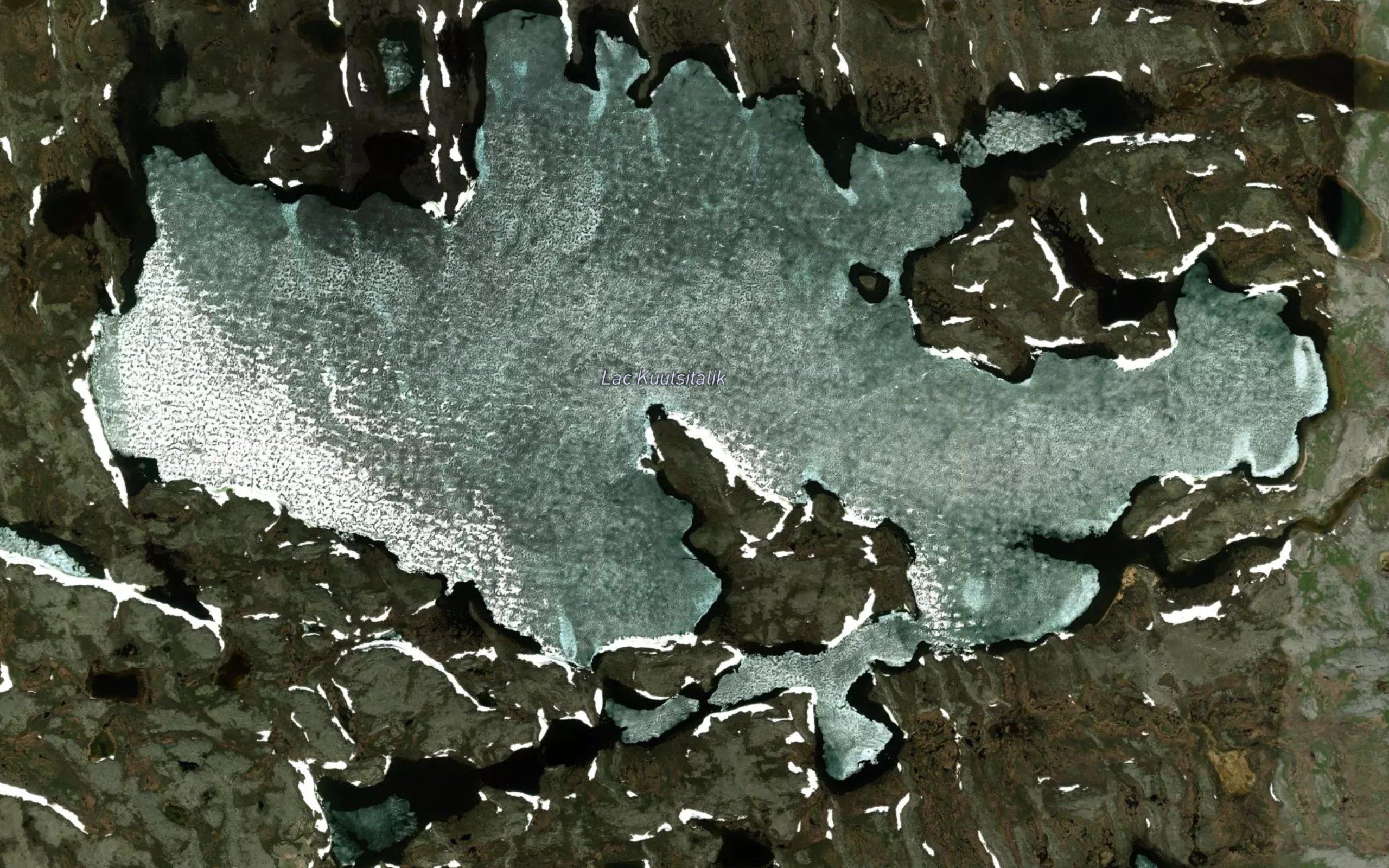 Lac Kuutsitalik