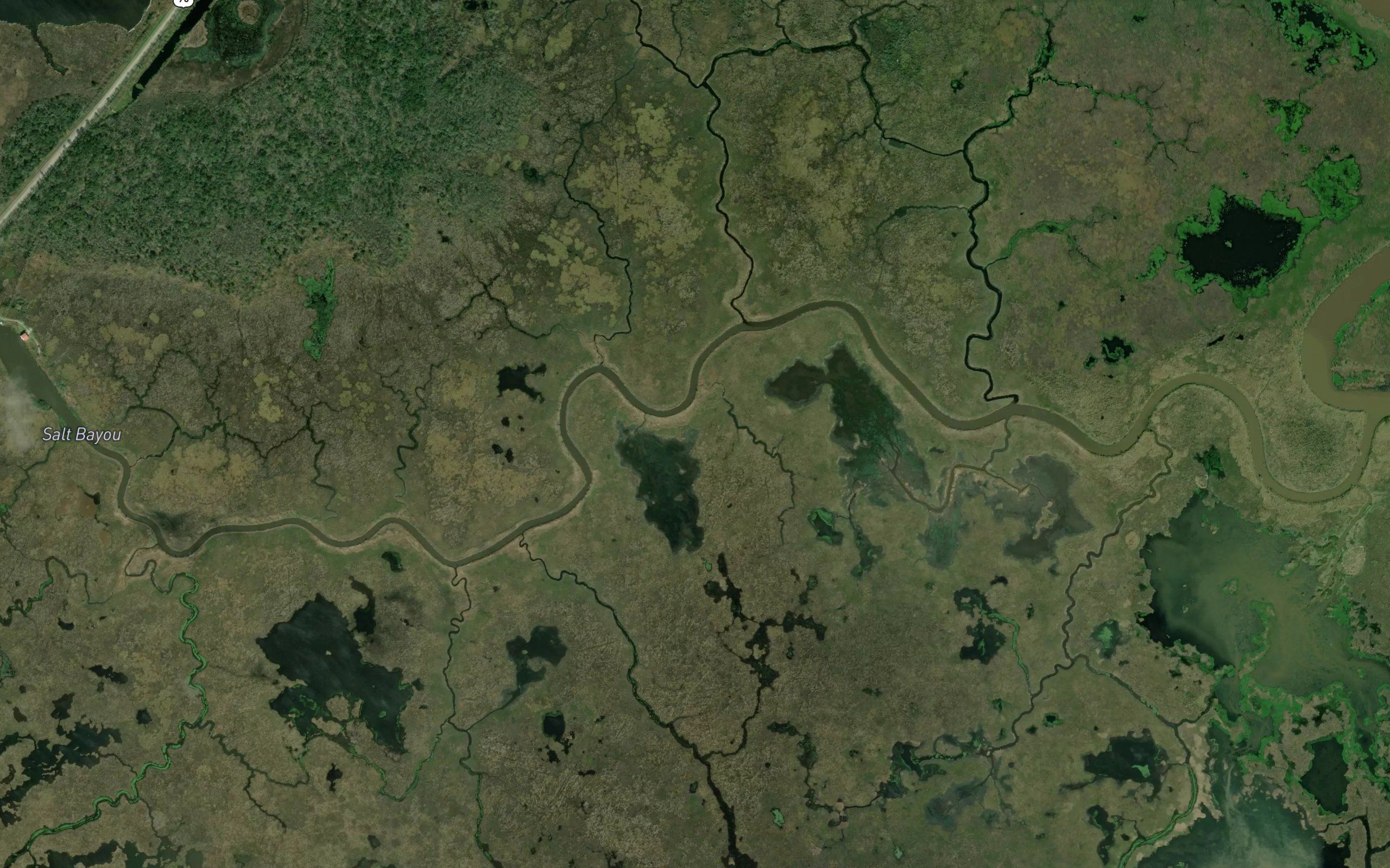 Salt Bayou