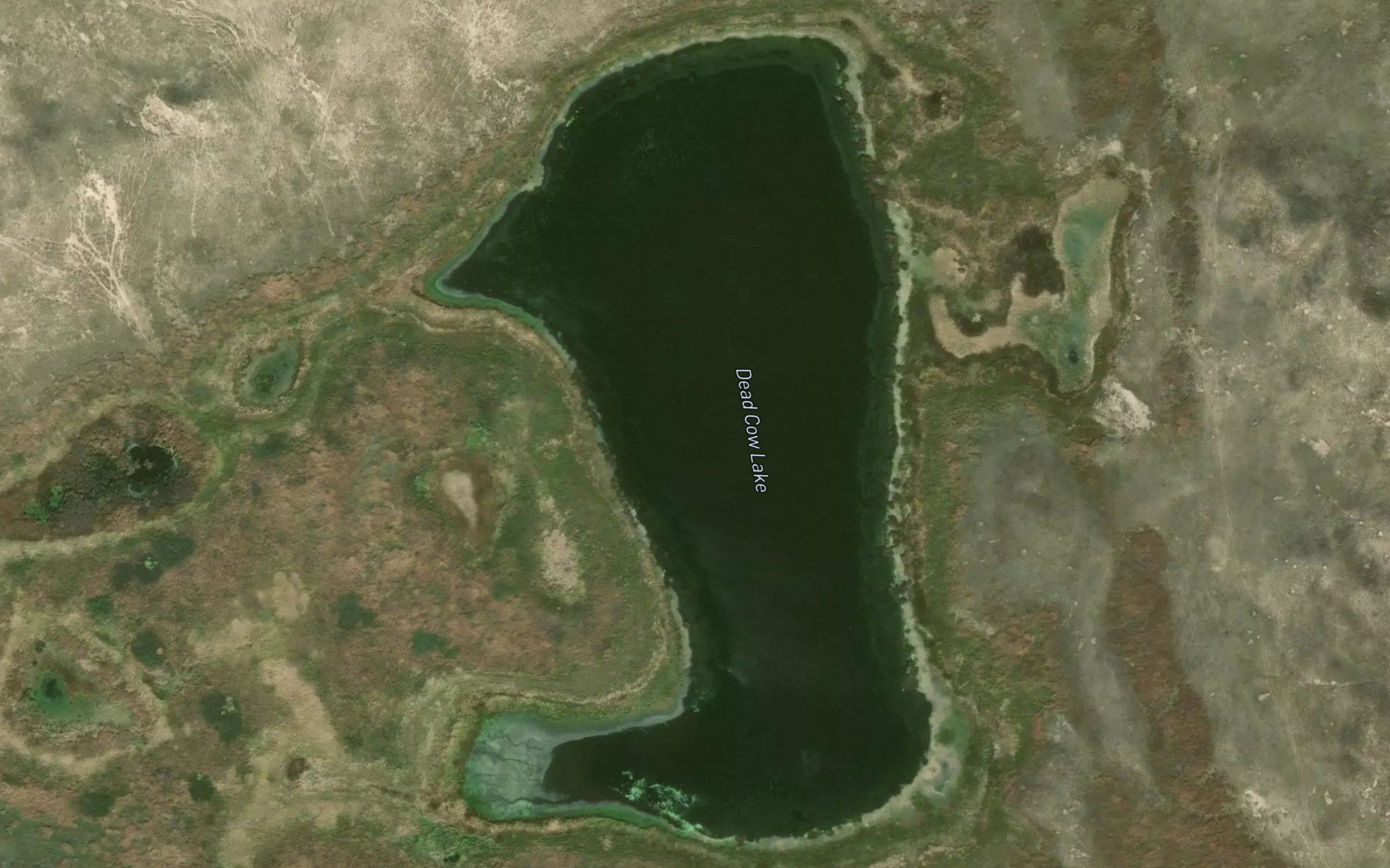 Dead Cow Lake