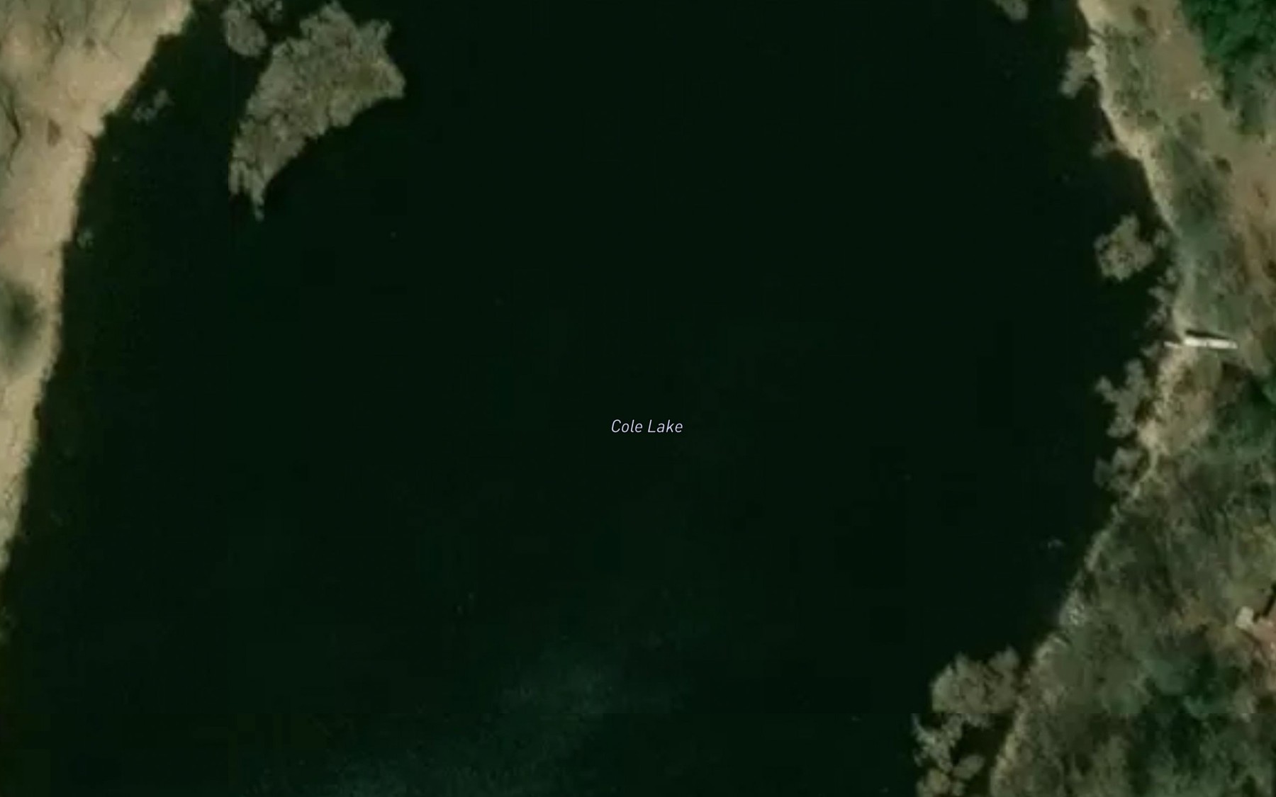 Satellite map of the Cole Lake