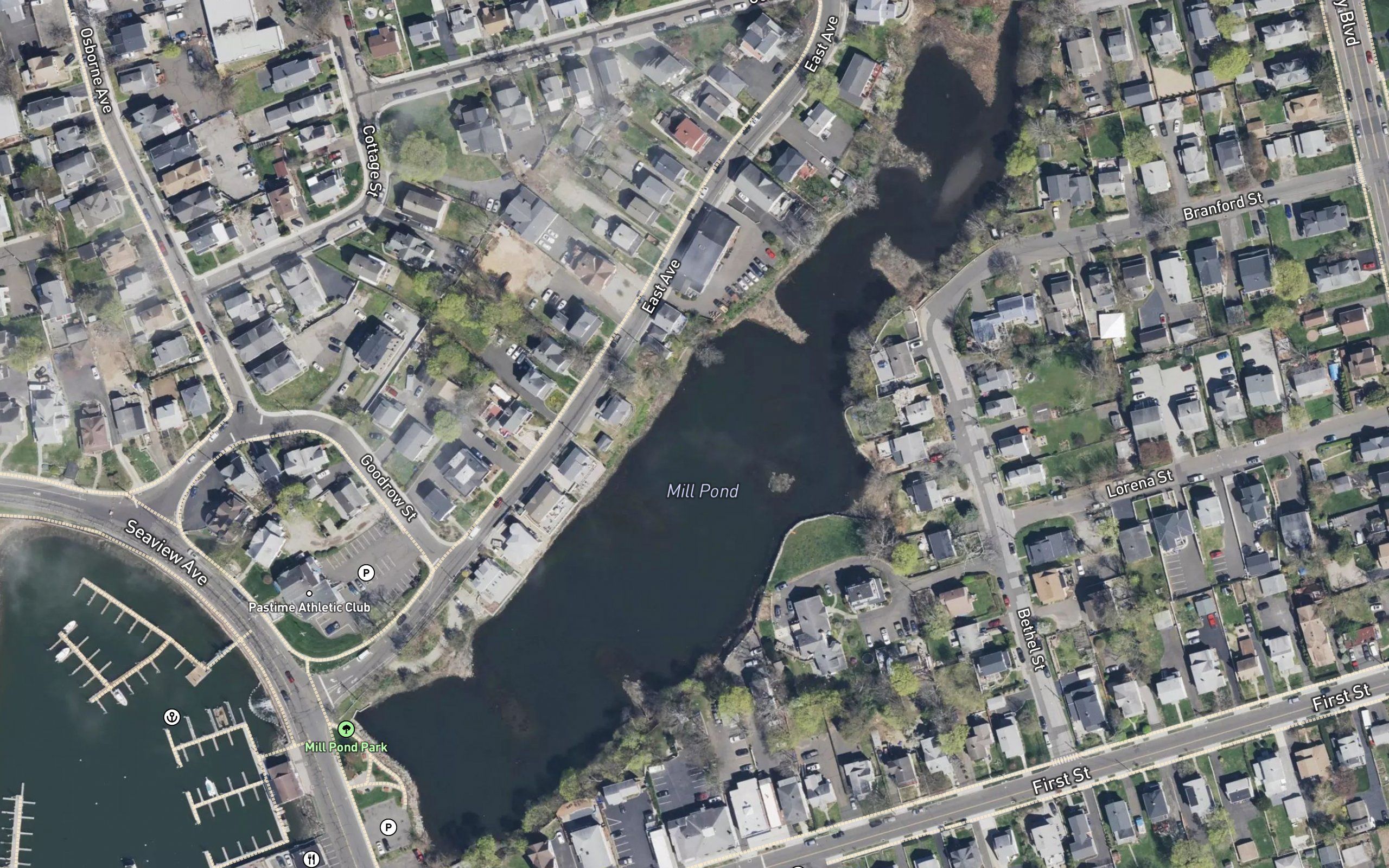 Mill Pond
