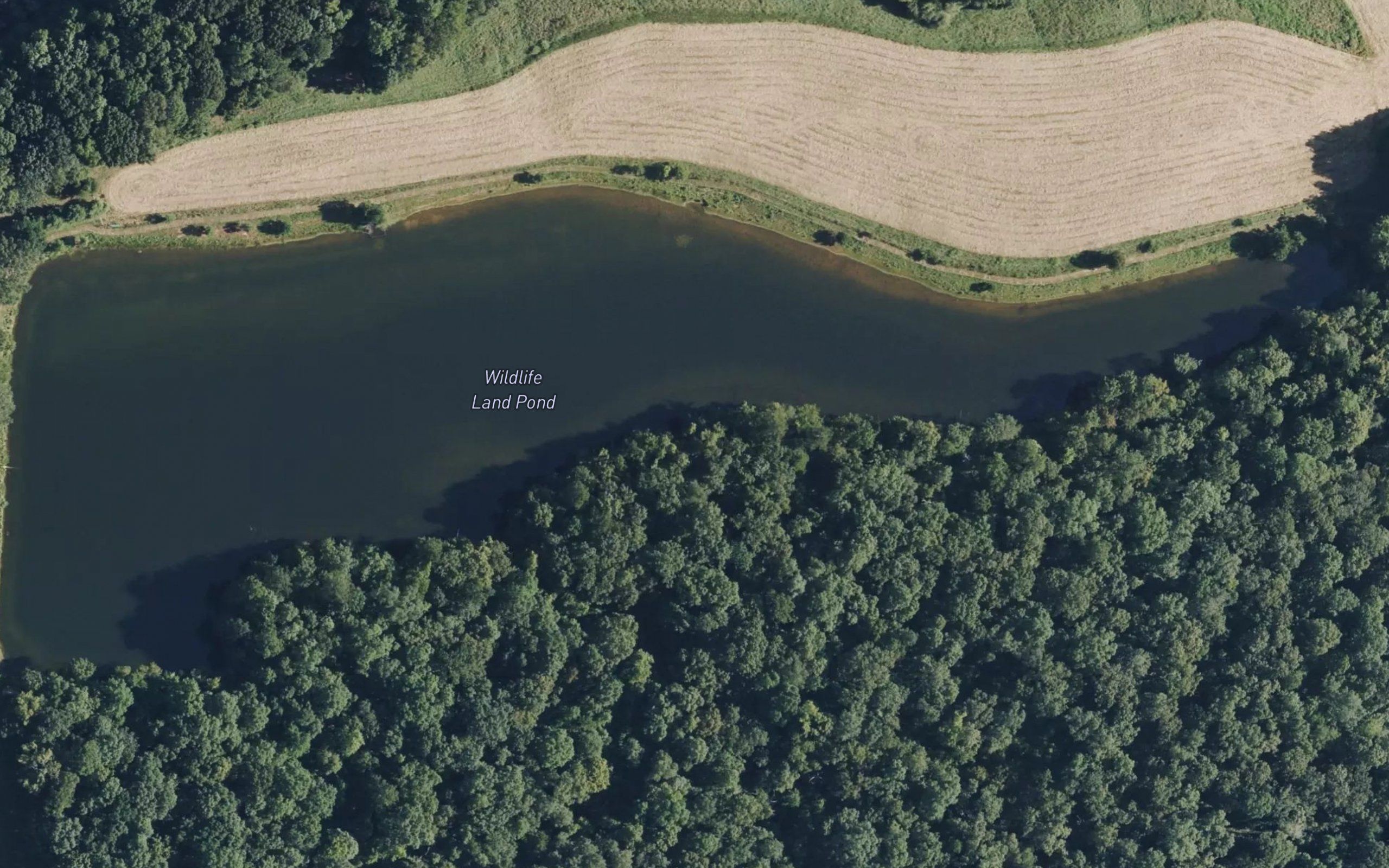 Wildlife Land Pond