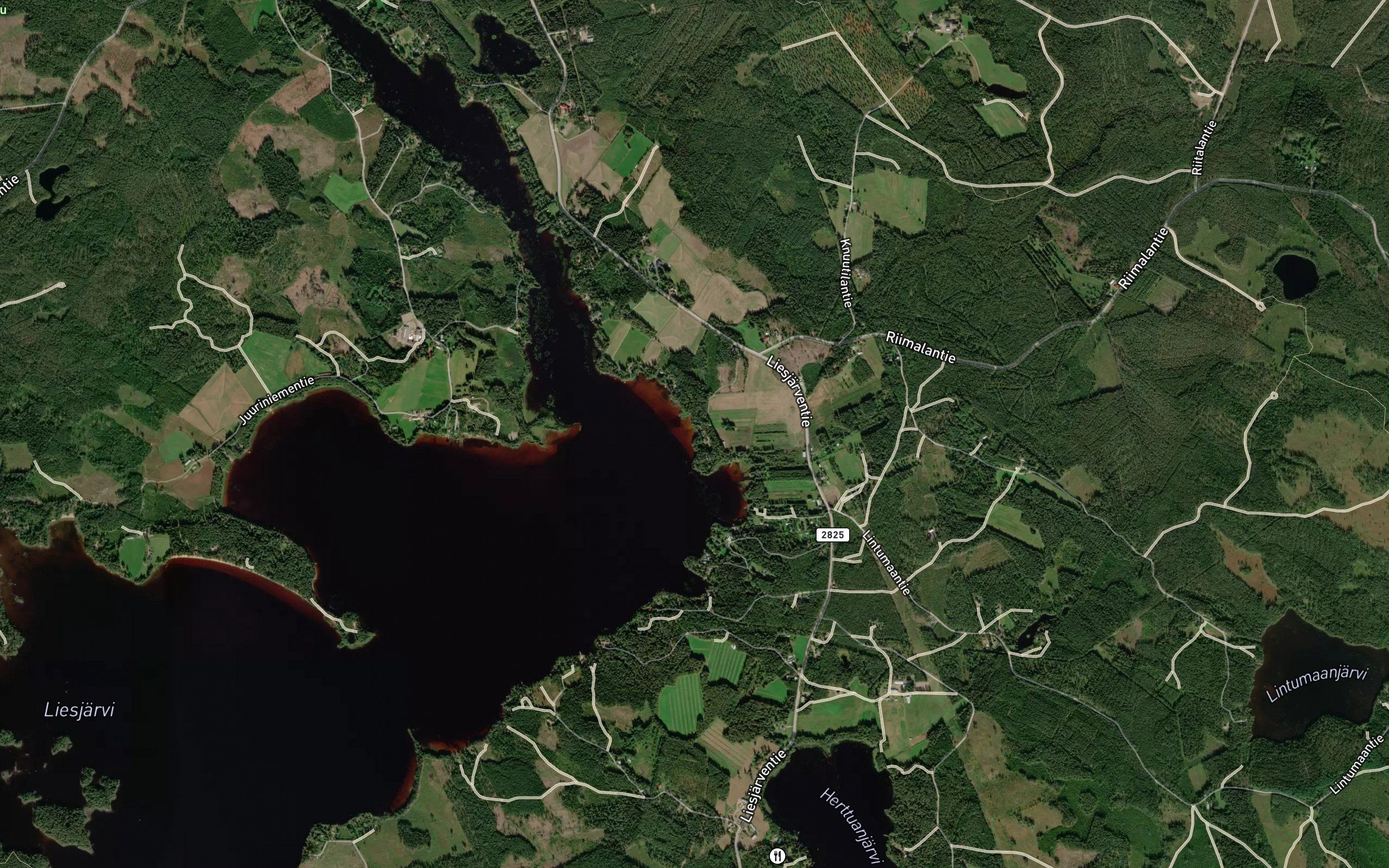 Honkalahti