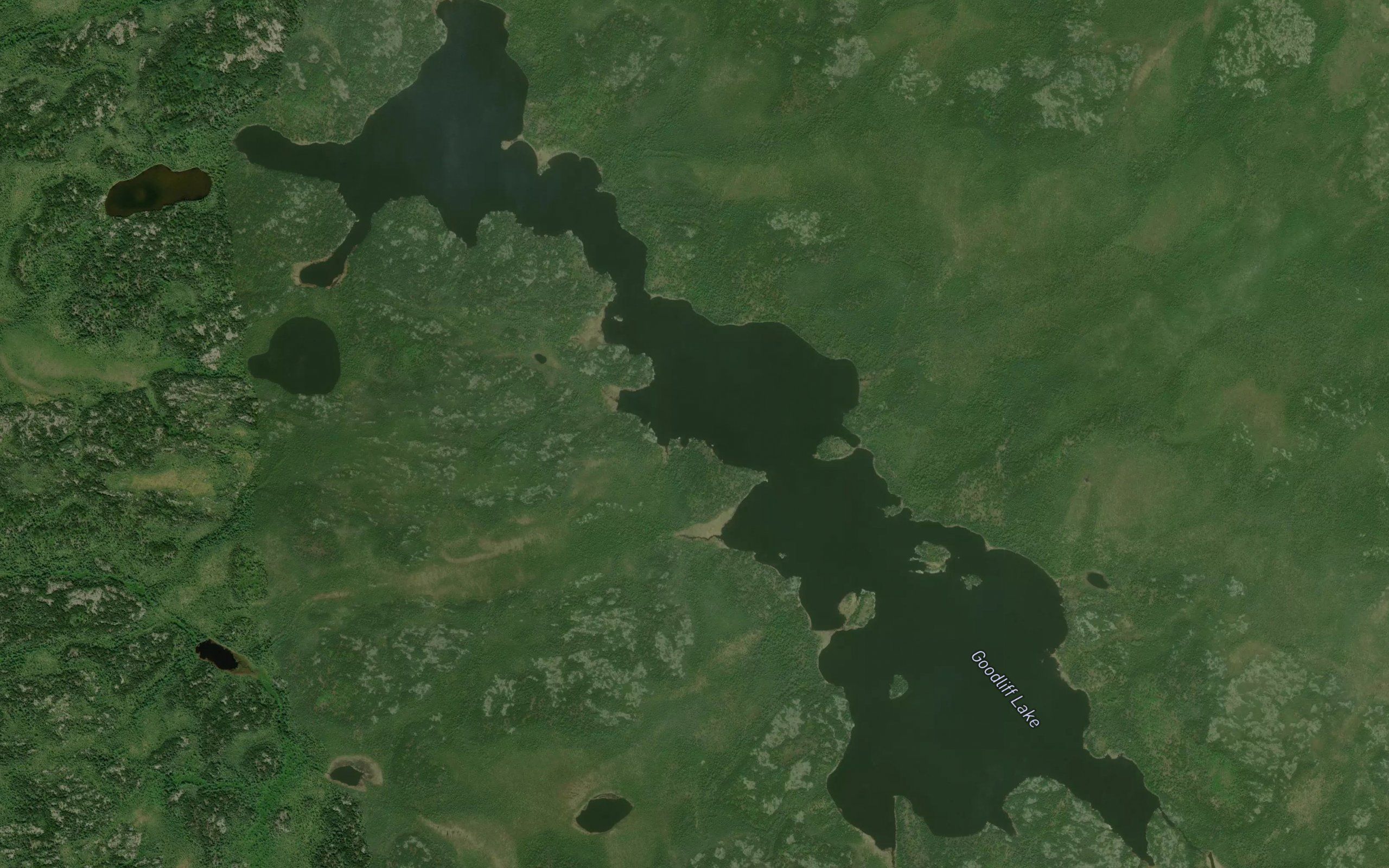 Goodliff Lake