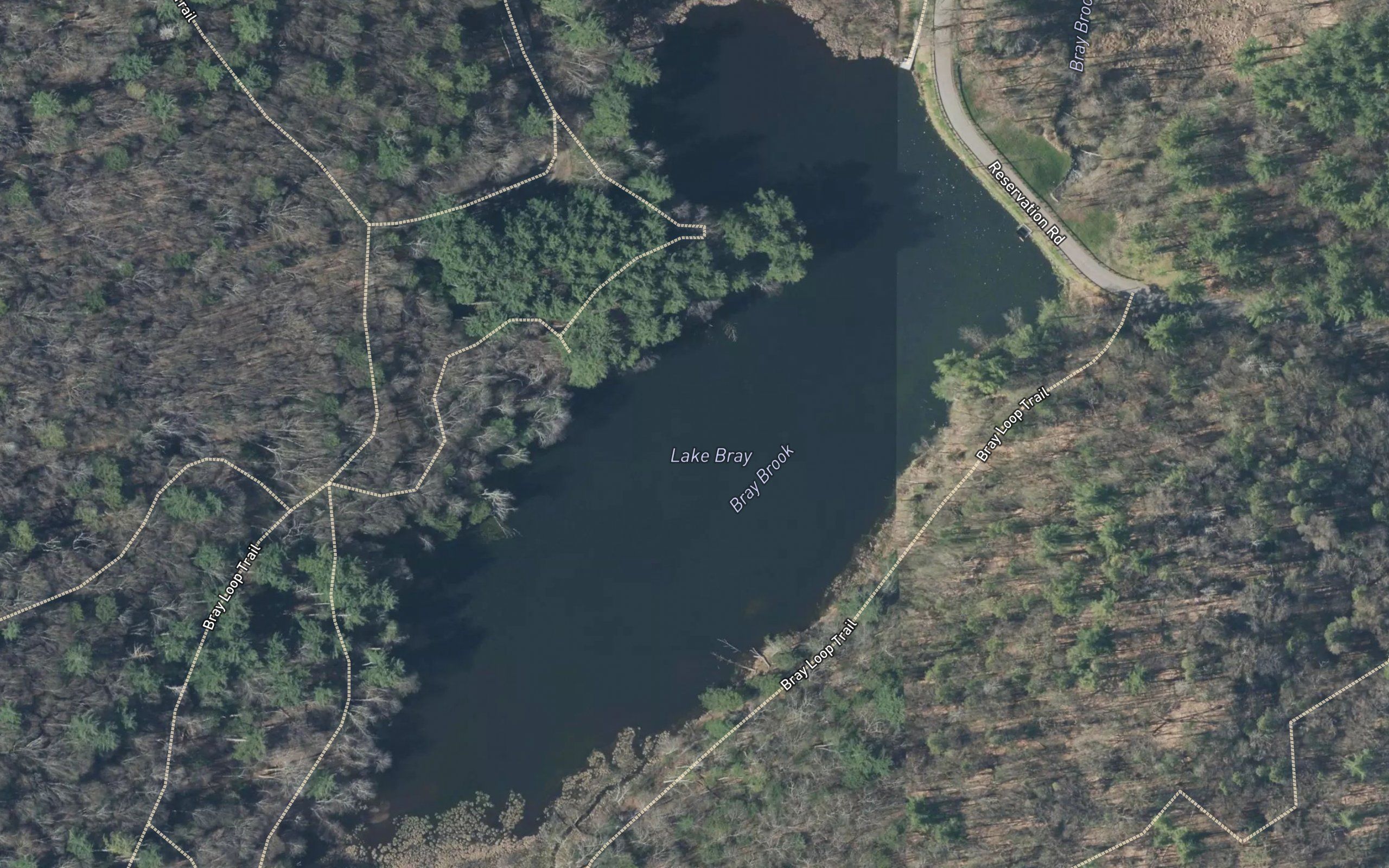 Lake Bray