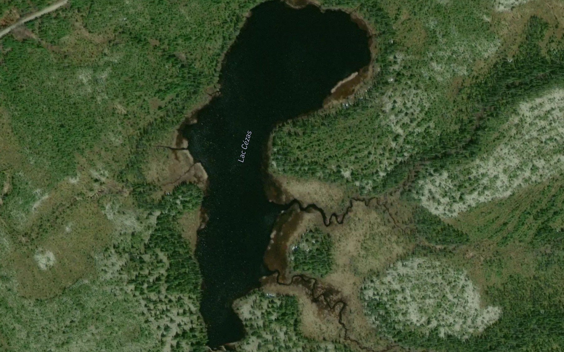 Satellite map of the Lac Cezas