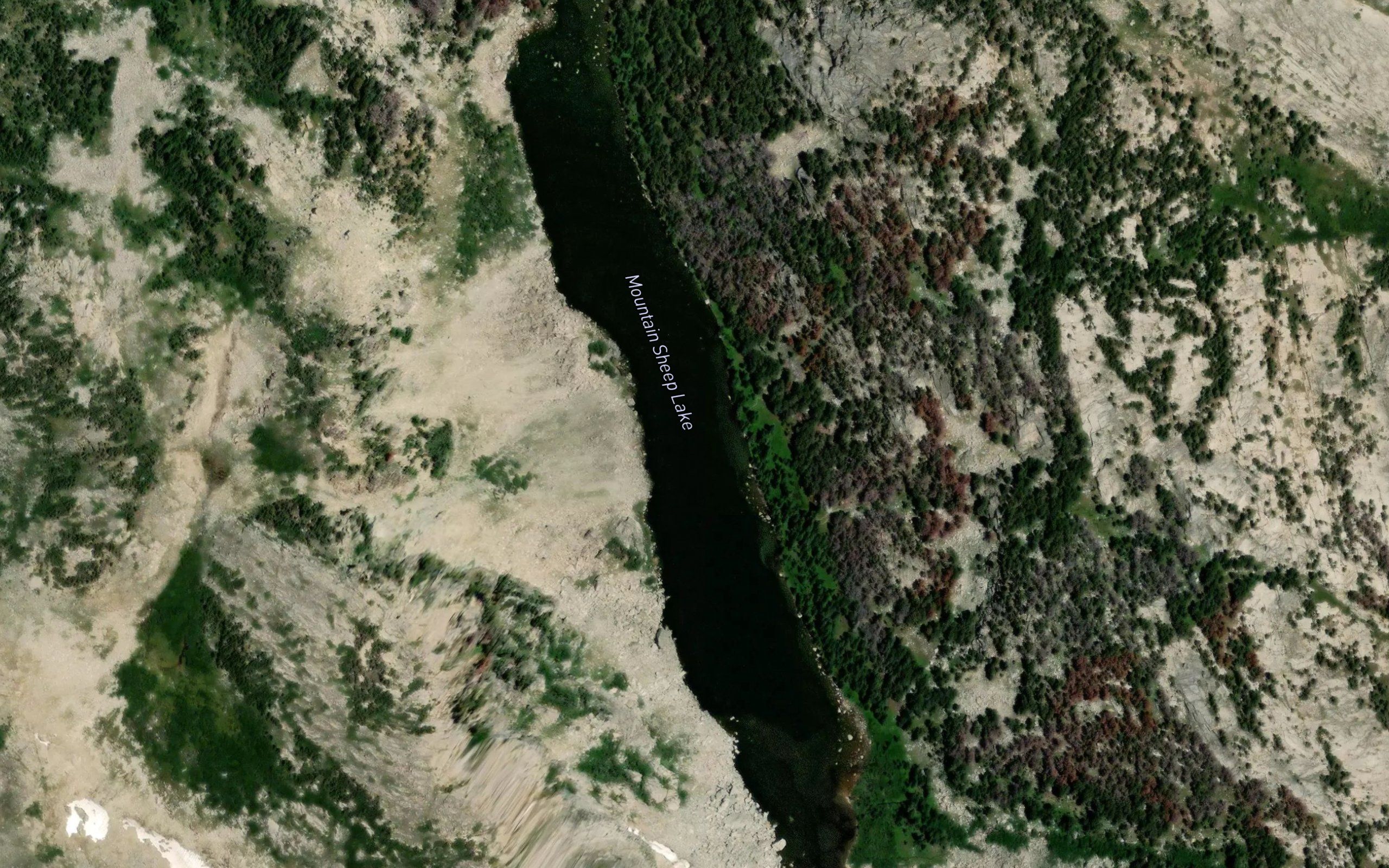 Mountain Sheep Lake