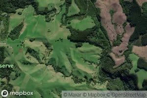 Opiri Stream