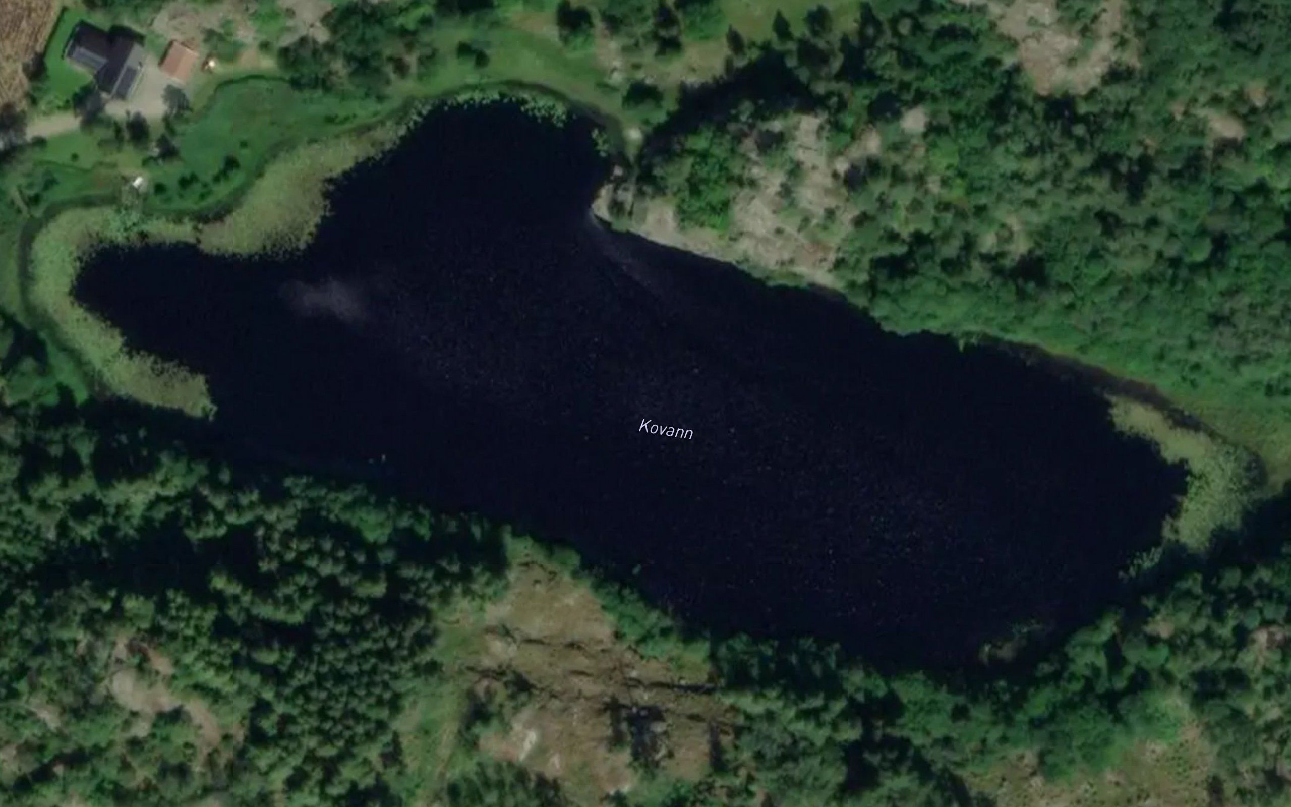 Kovann