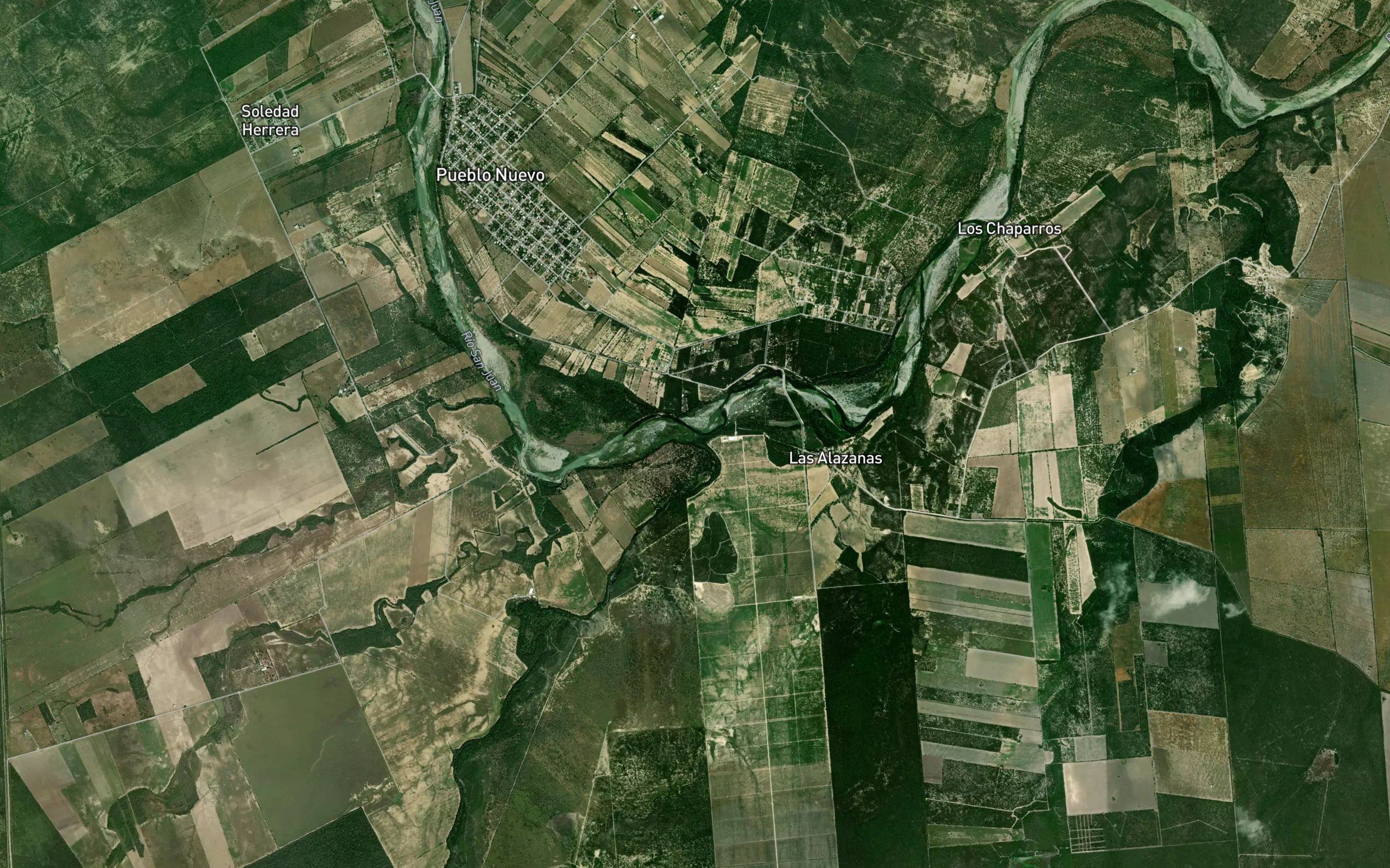 Garrapatas
