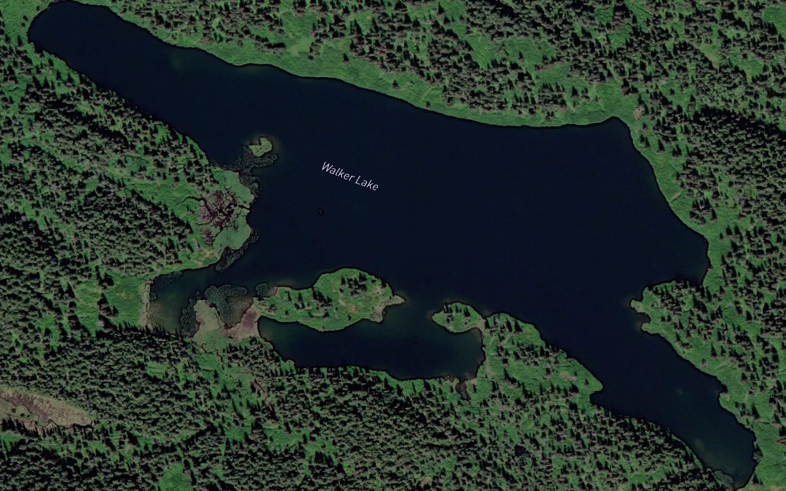 Walker Lake