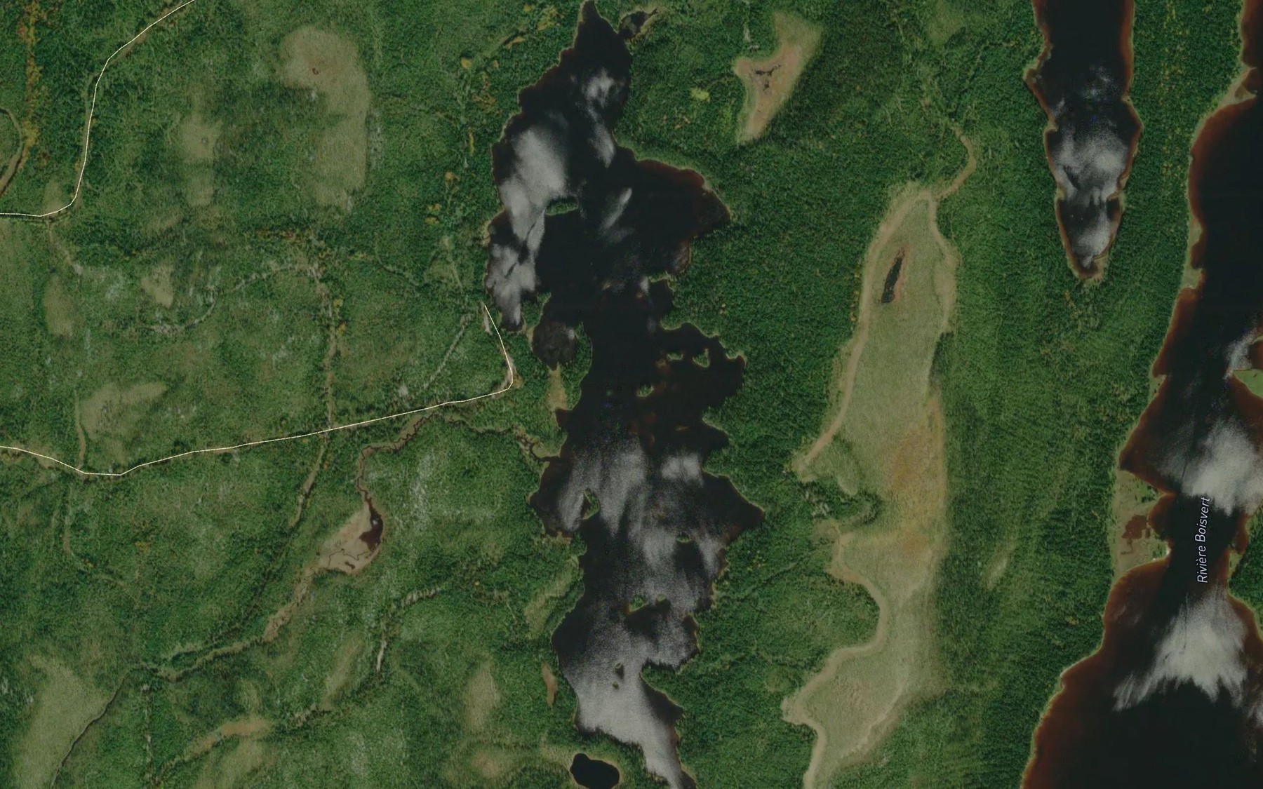 Satellite map of the Lac des Ananas