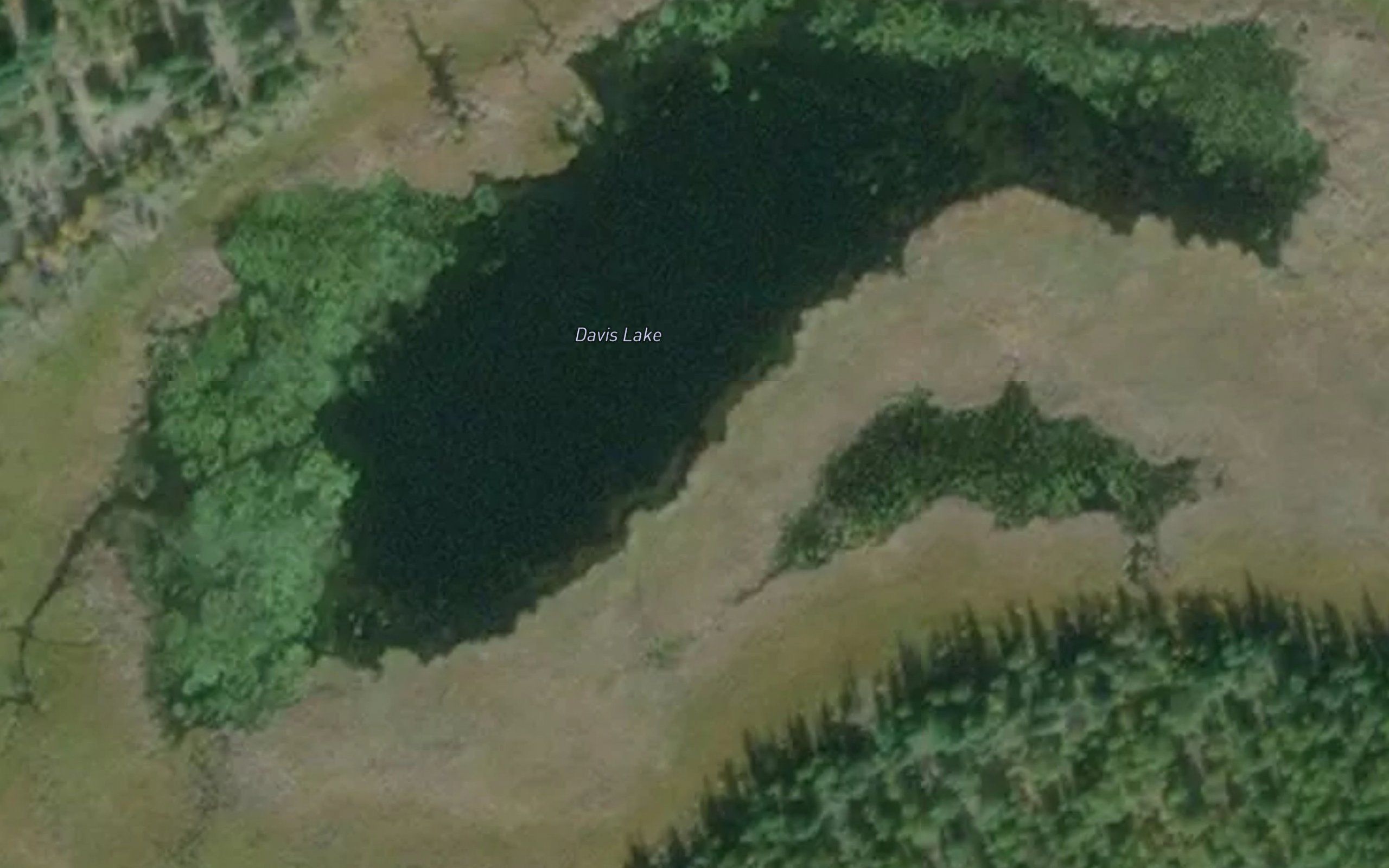 Davis Lake