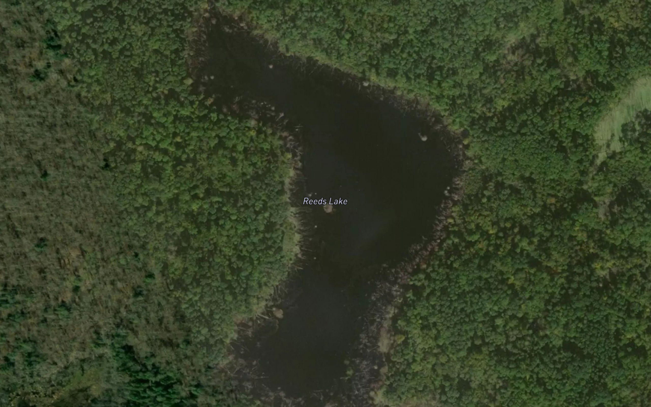 Reeds Lake