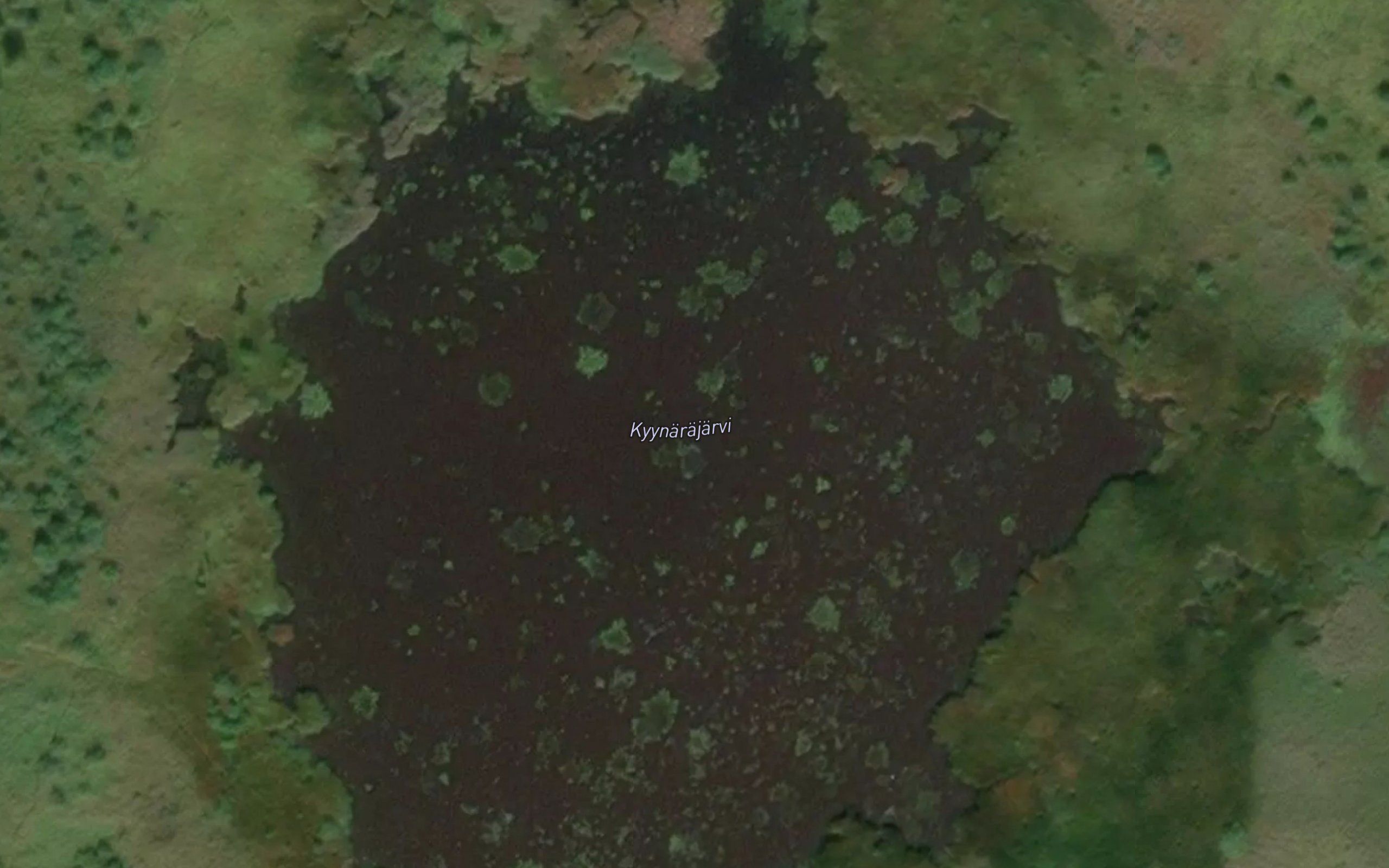 Kyynarajarvi