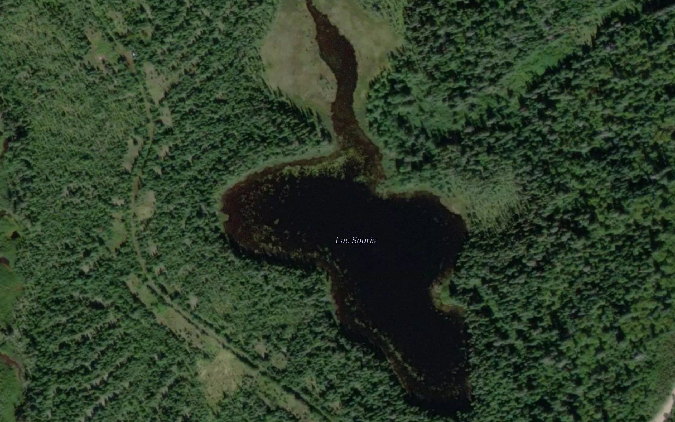 Lac Souris