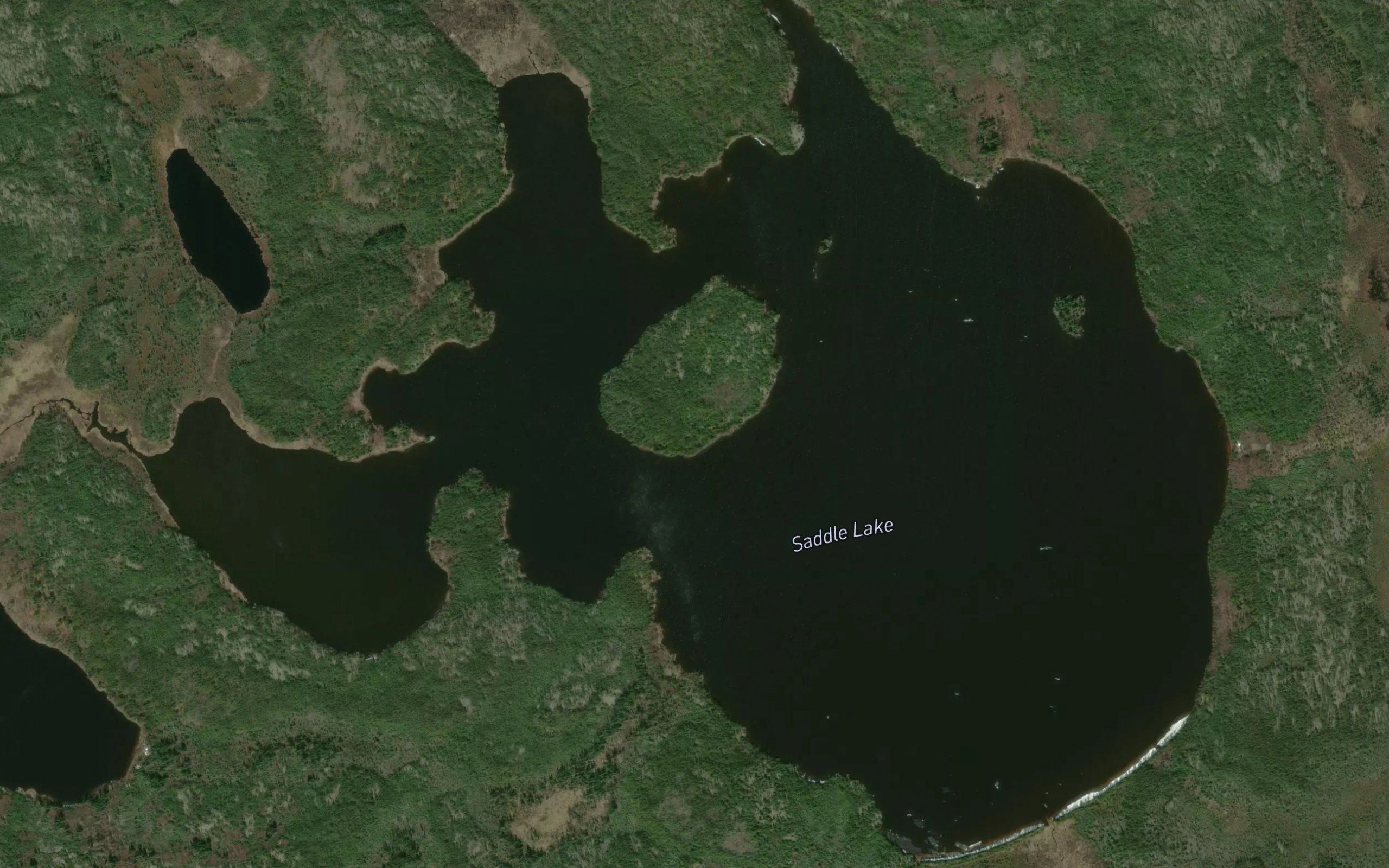 Saddle Lake