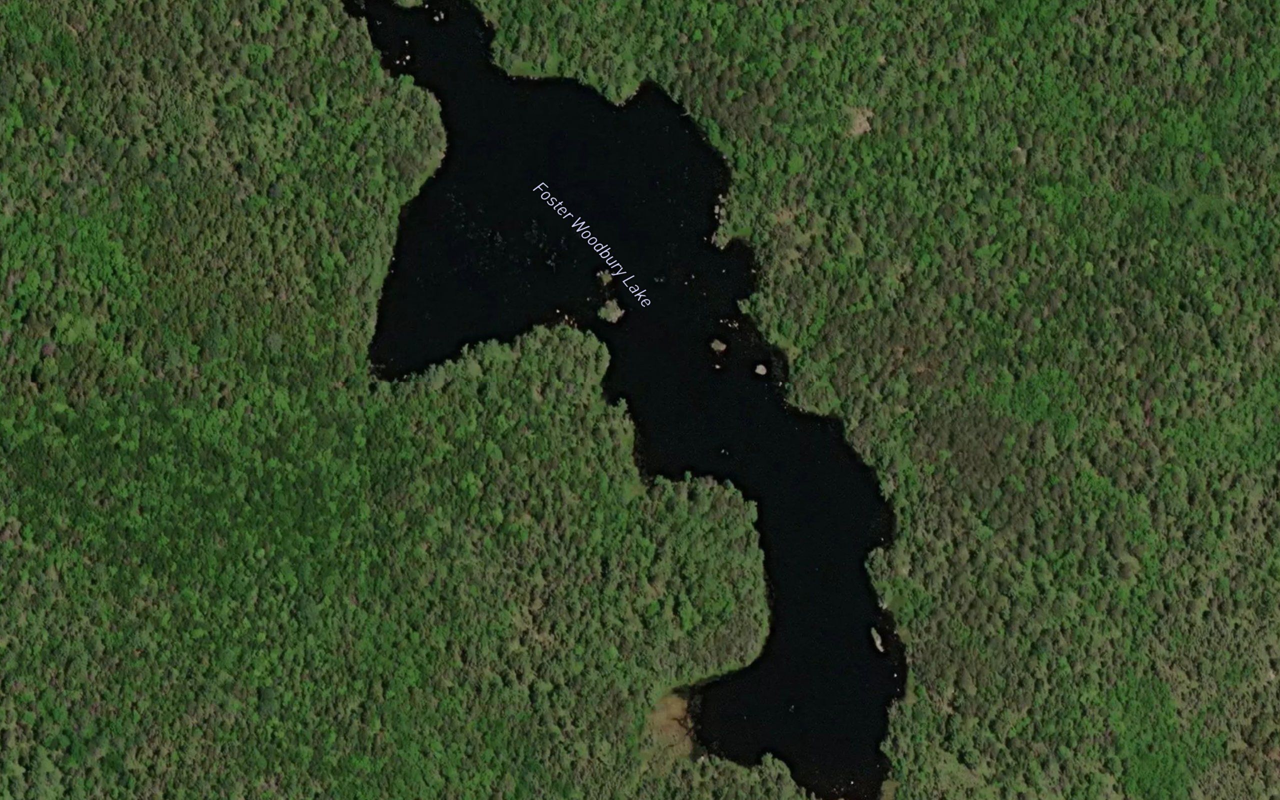 Foster Woodbury Lake