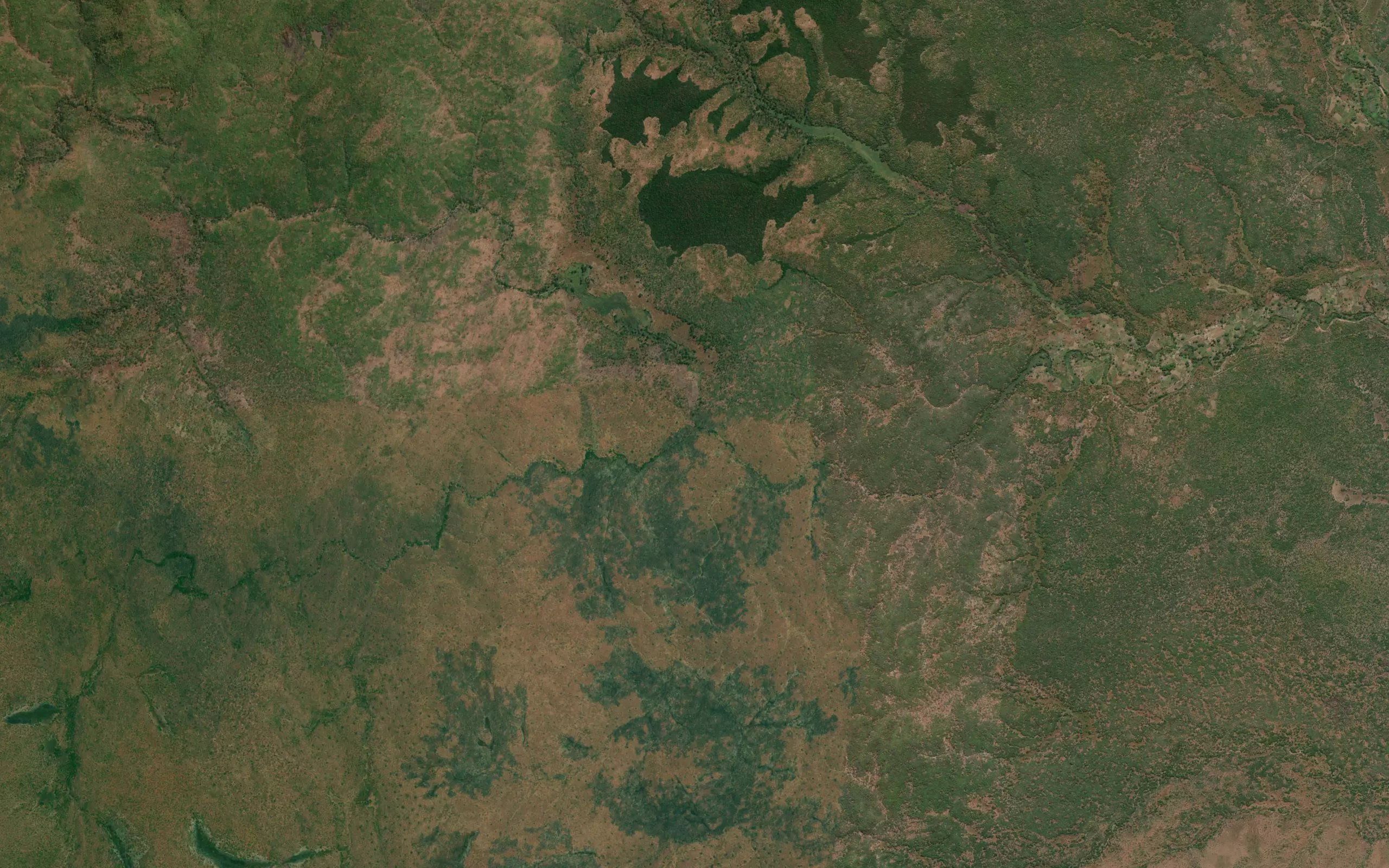 Chisonongo