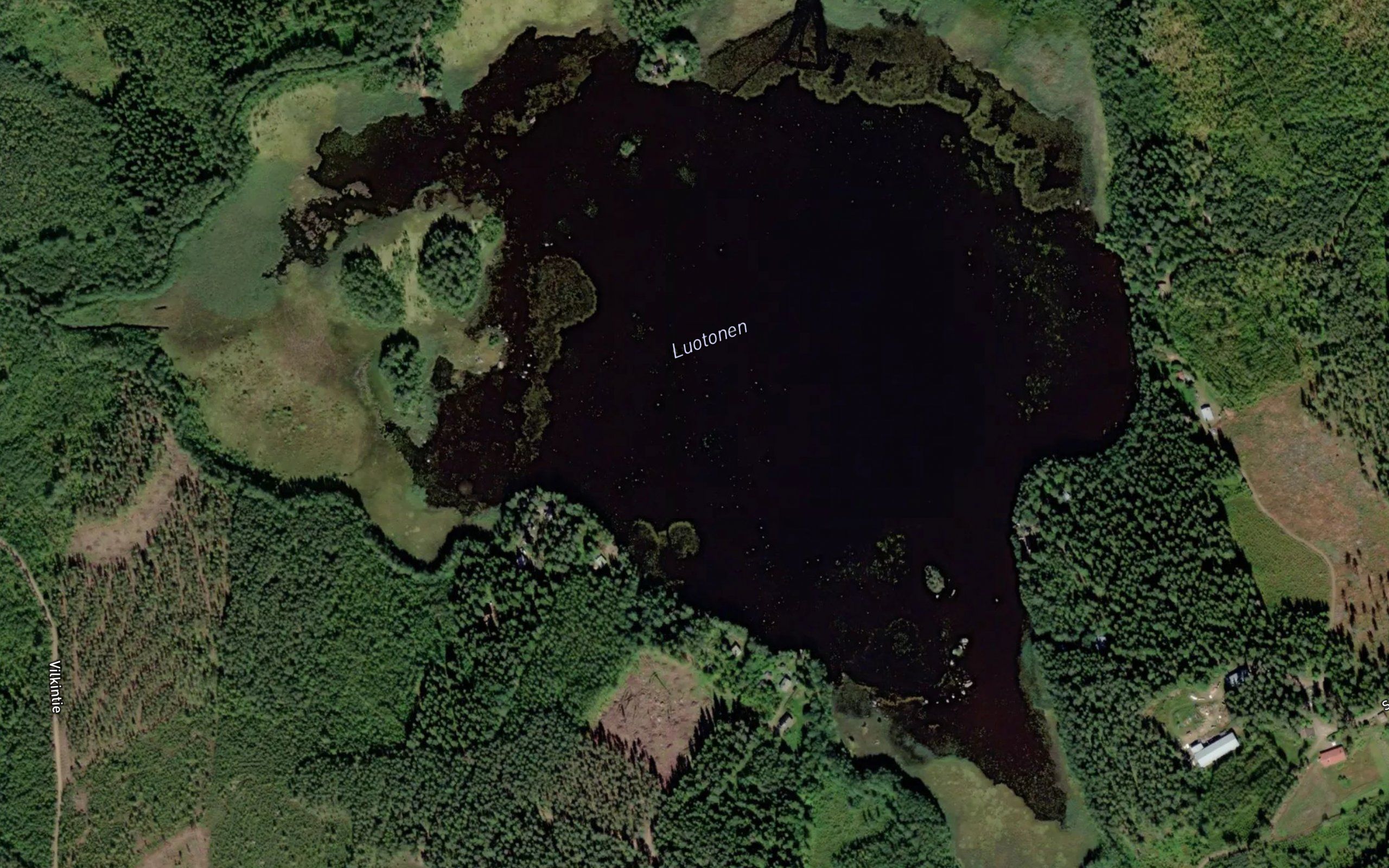 Luotonen
