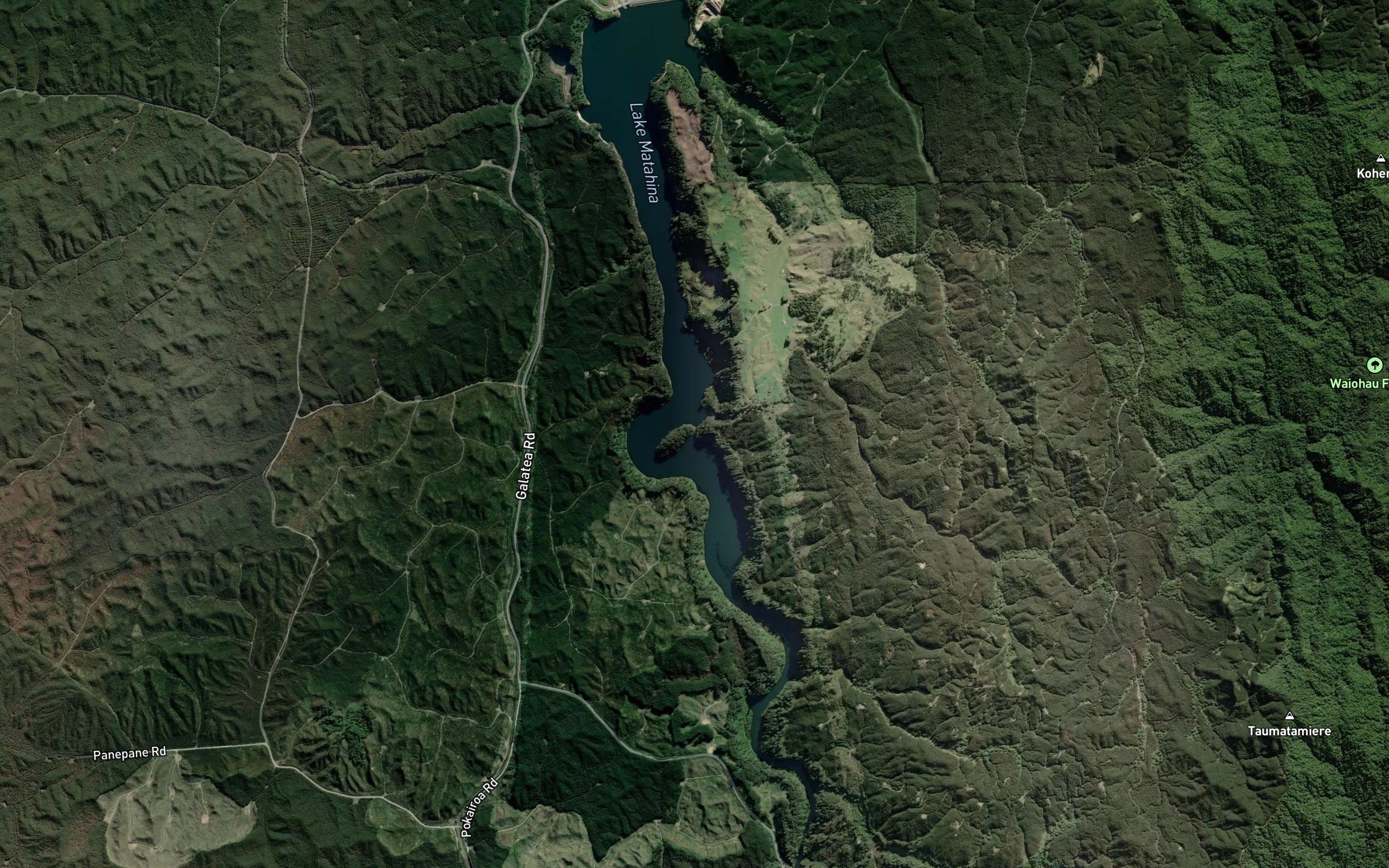 Moetahanga Stream