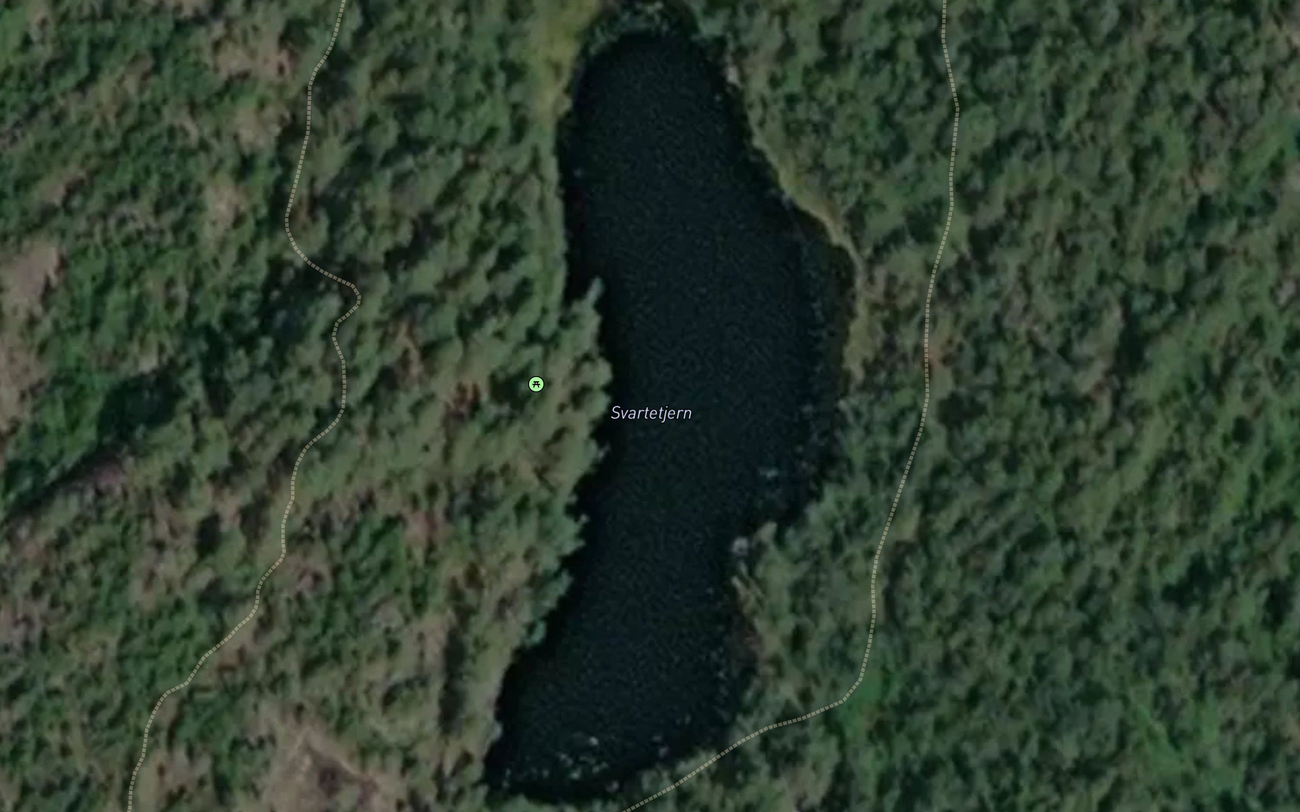 Svartetjern