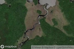 Fricker Creek