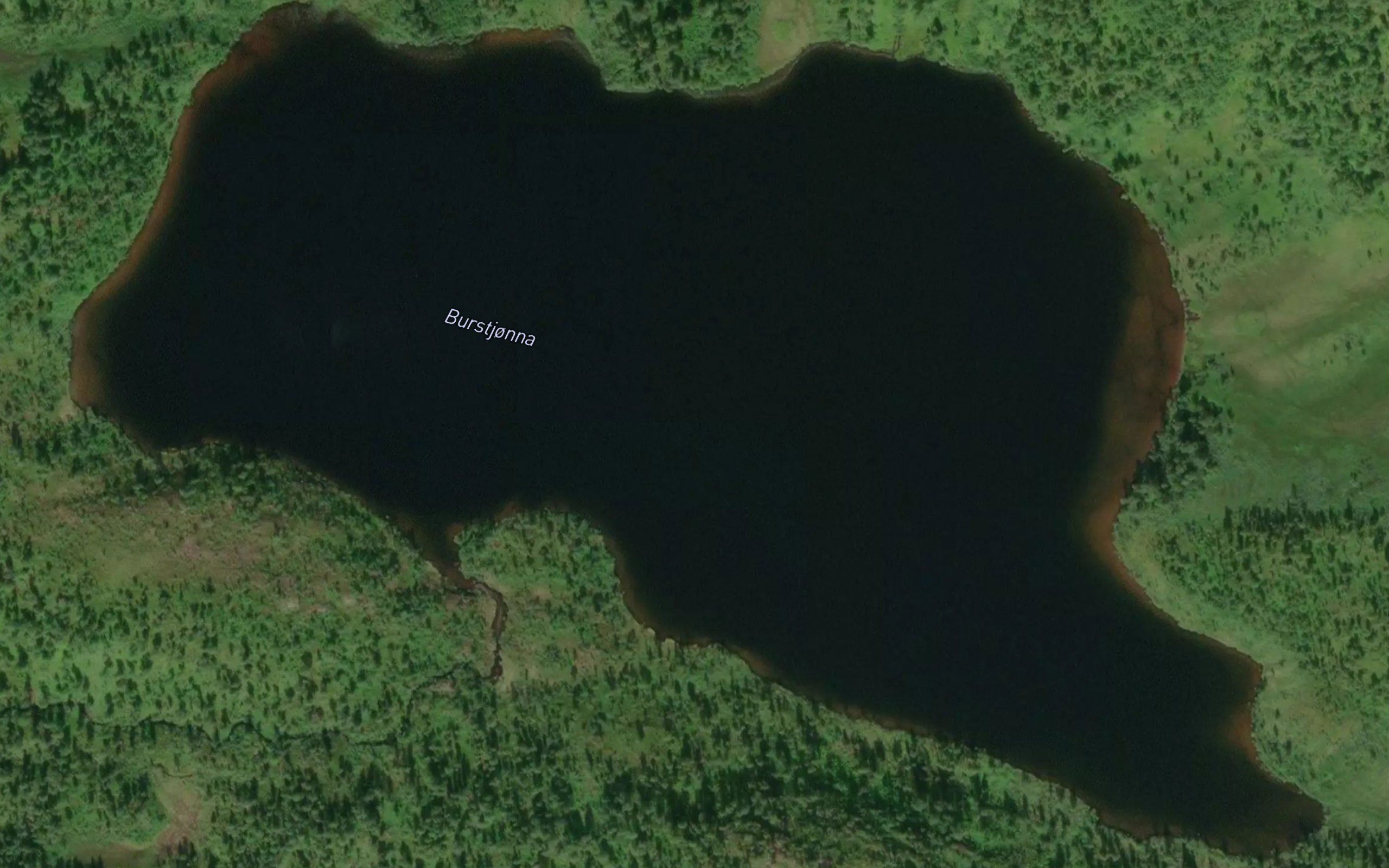 Burstjorna