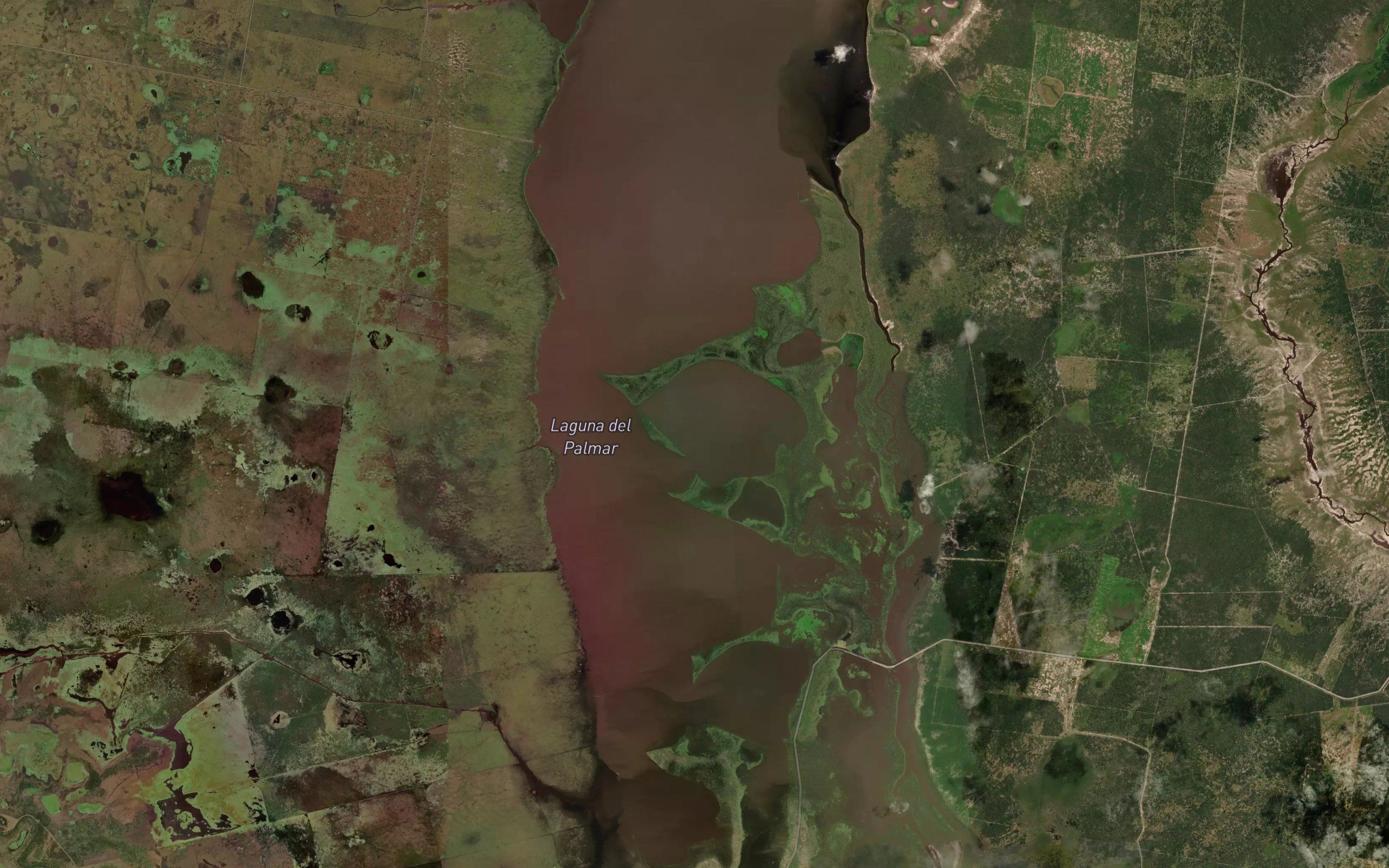 Laguna del Palmar