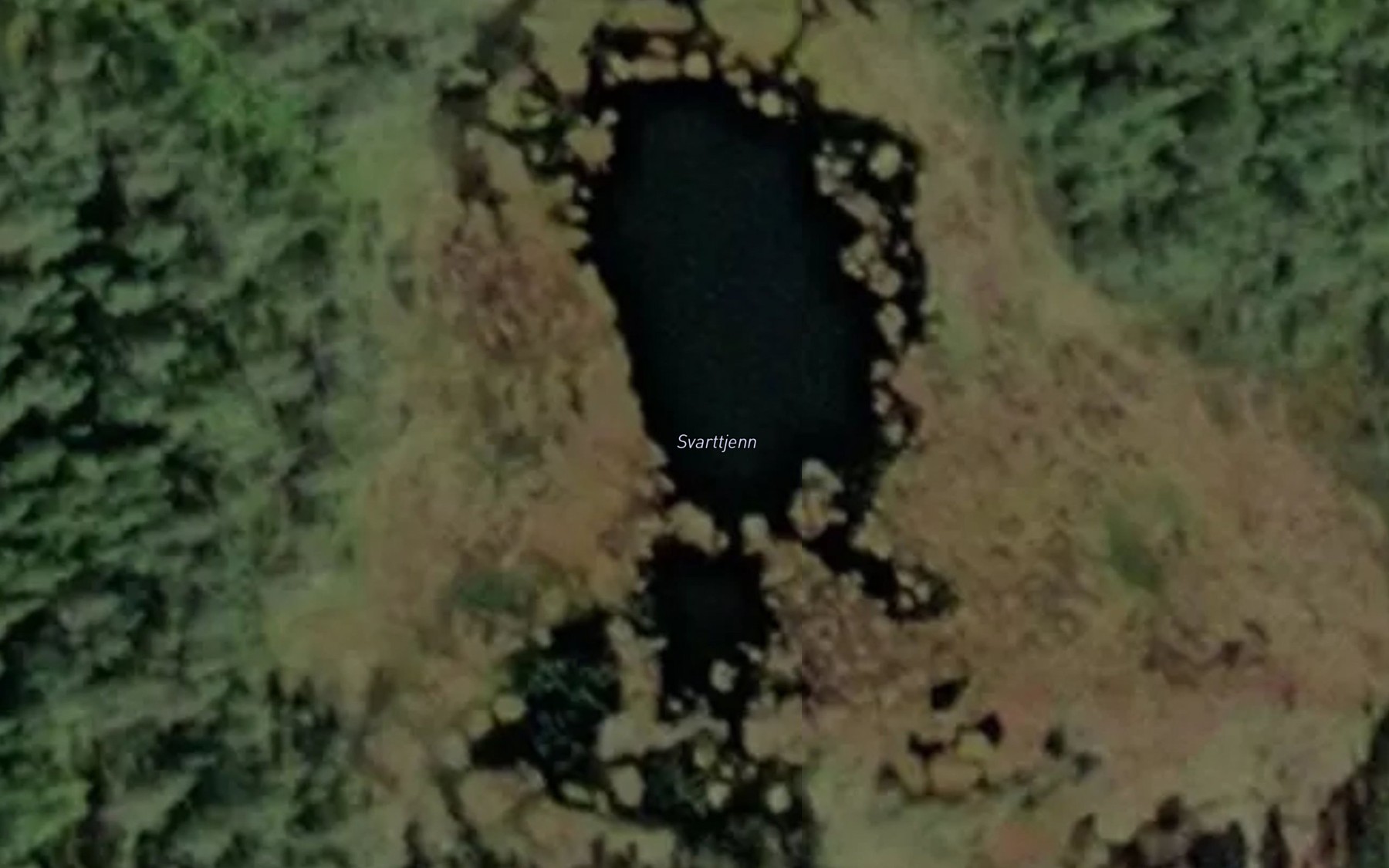 Satellite map of the Svarttjern