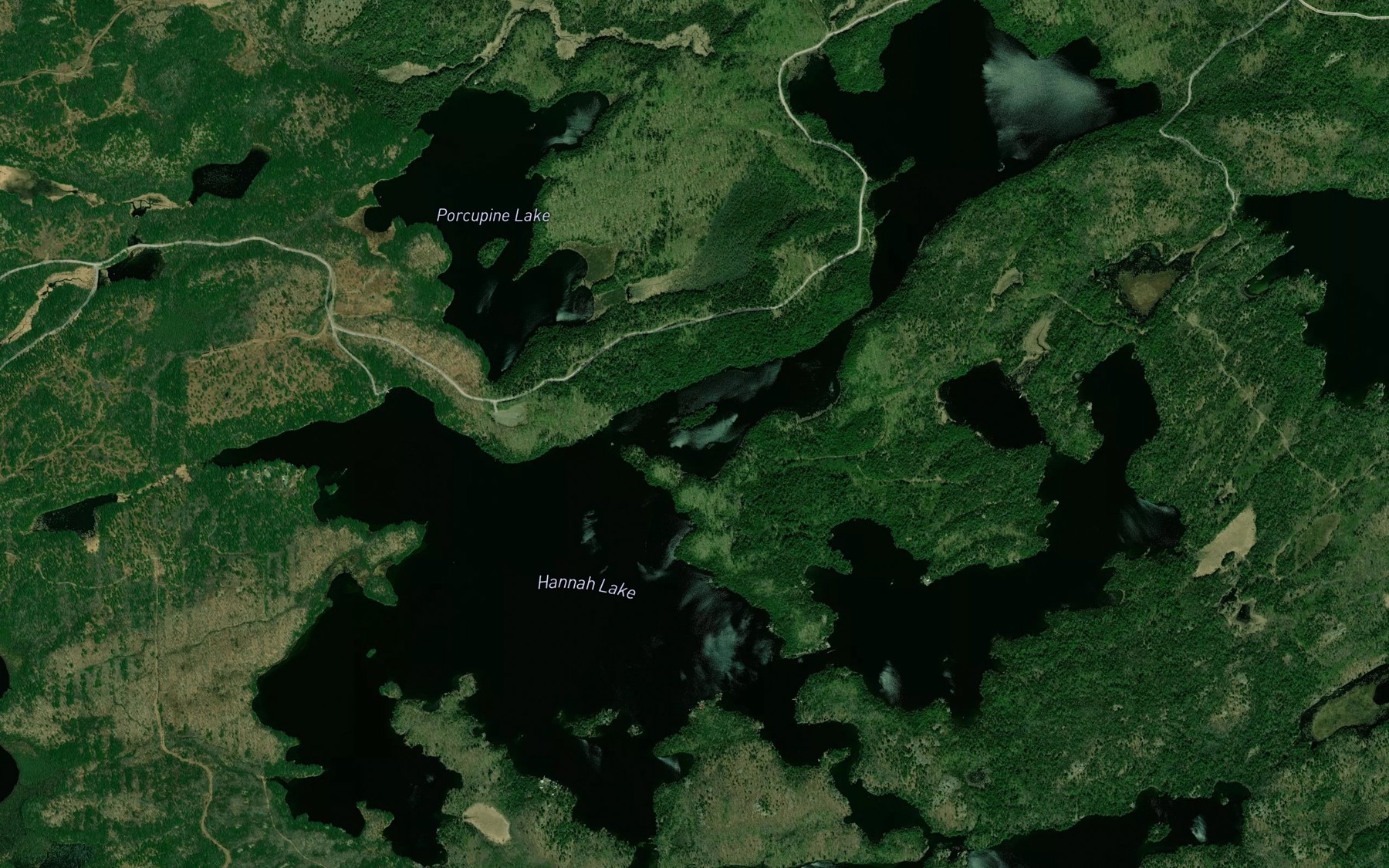 Satellite map of the Hannah Lake