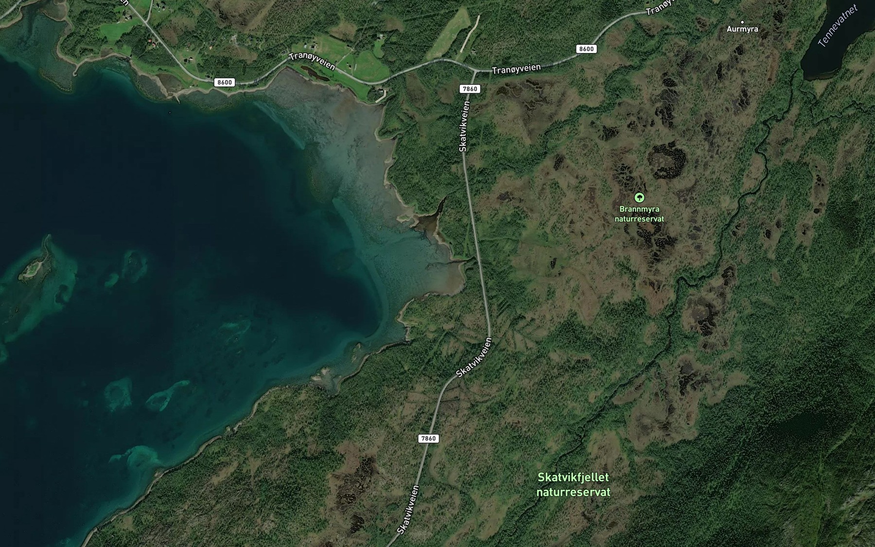 Satellite map of the Triangelkjosen