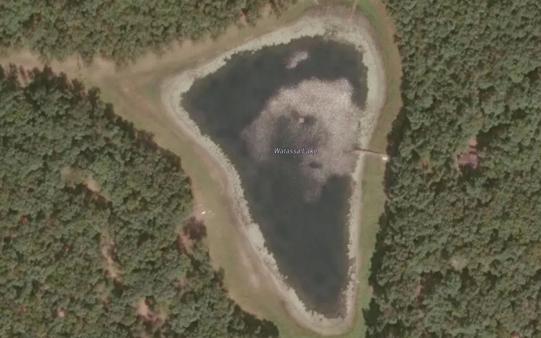 Satellite map of the Watassa Lake
