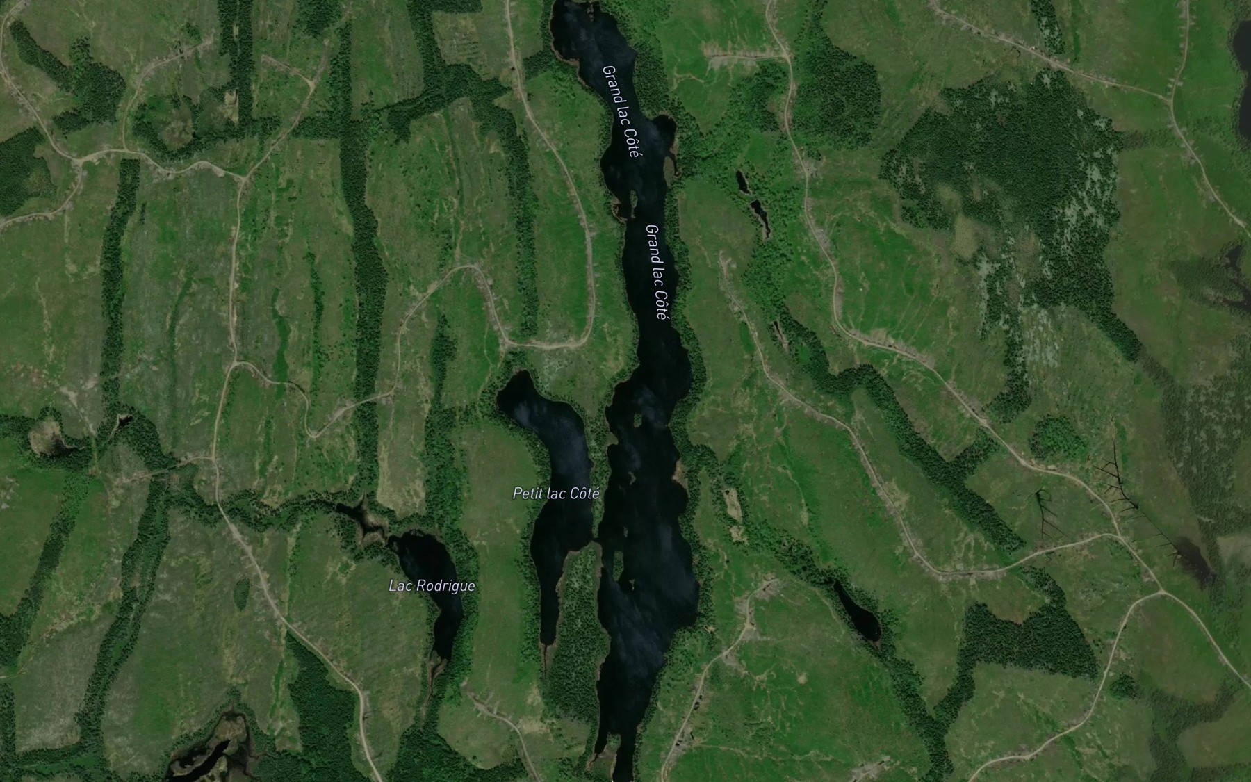 Satellite map of the Grand lac Cote