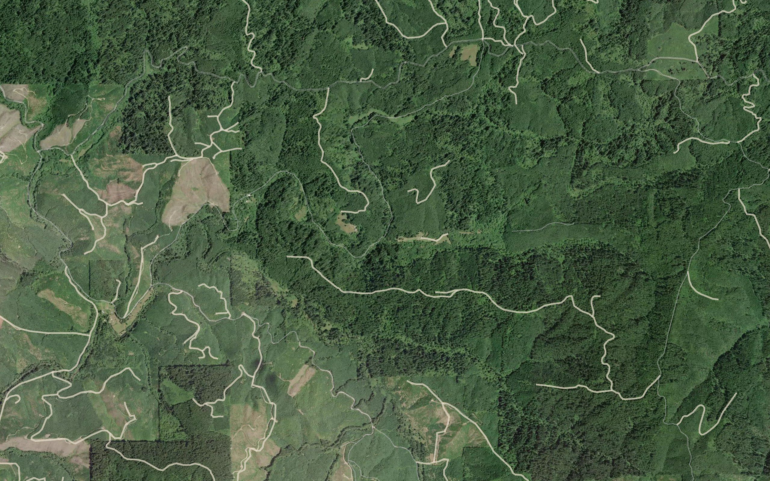 Cape Horn Creek