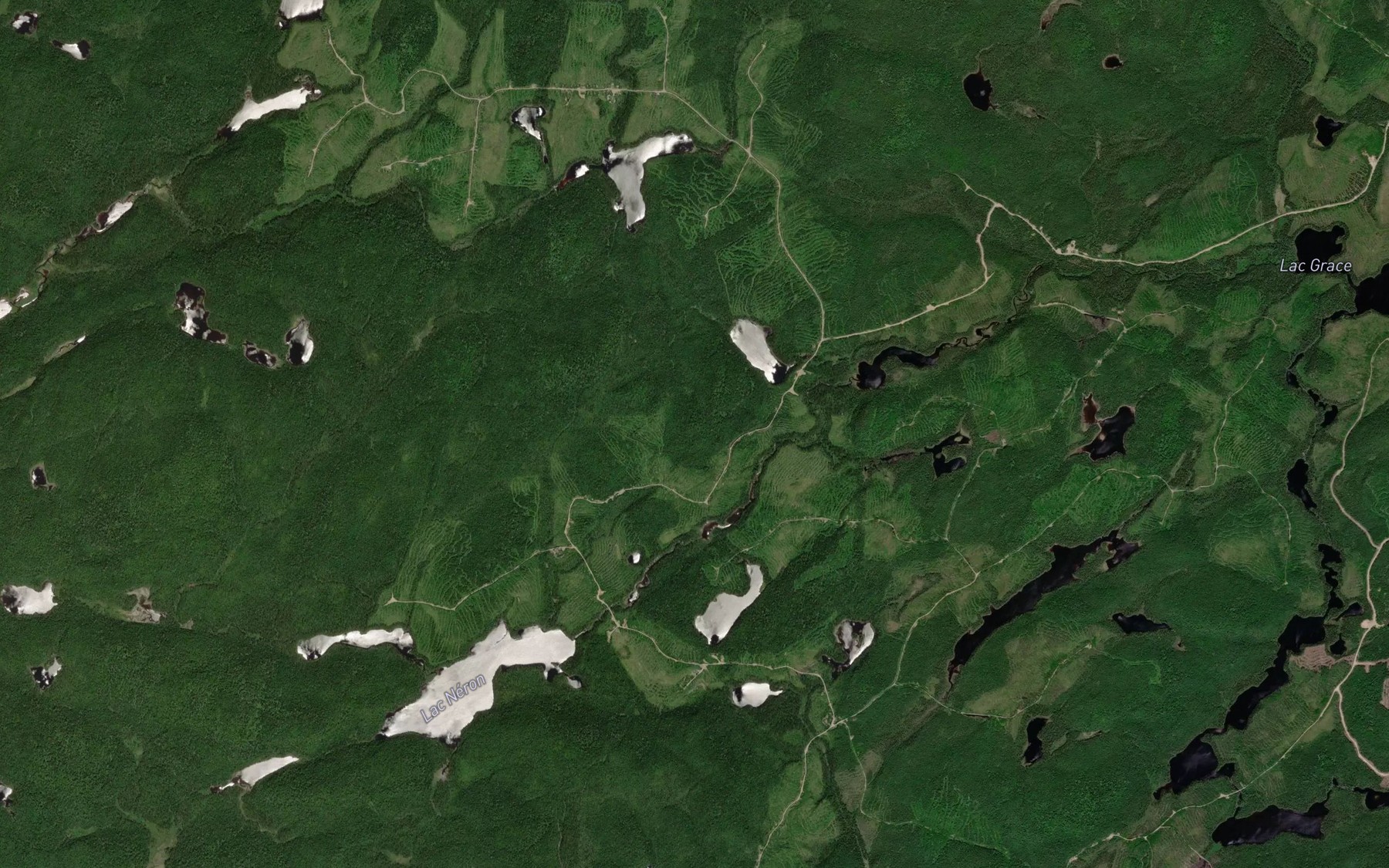 Satellite map of the Etangs du Delta